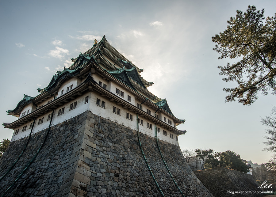 Nikon D800 + Nikon AF-S Nikkor 20mm F1.8G ED sample photo. Tenshu, nagoya. photography