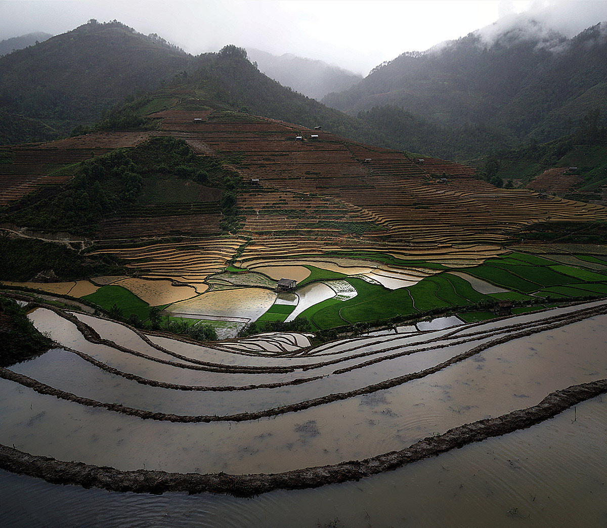Sony E 18-200mm F3.5-6.3 OSS sample photo. Vietnam, rice field photography