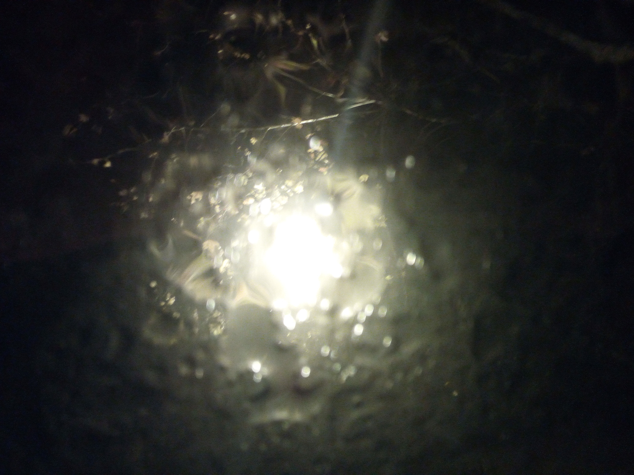 HUAWEI GR3 sample photo. Rain photography