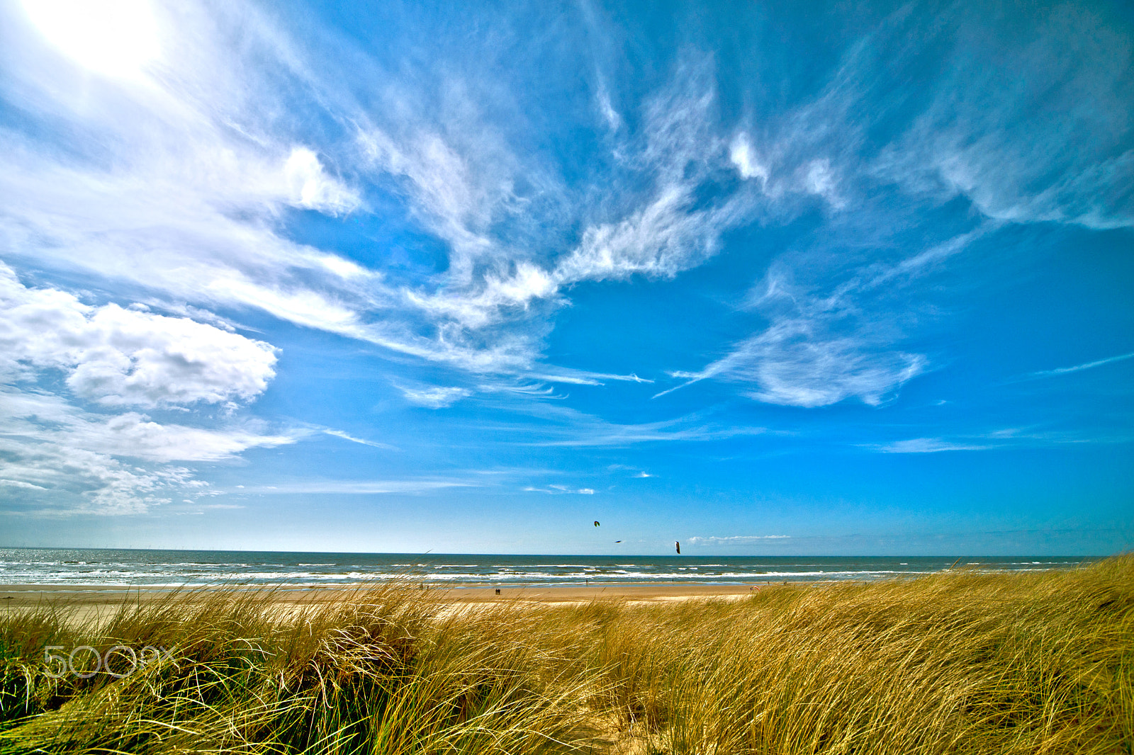 Sony Alpha DSLR-A900 sample photo. Bergen aan zee photography