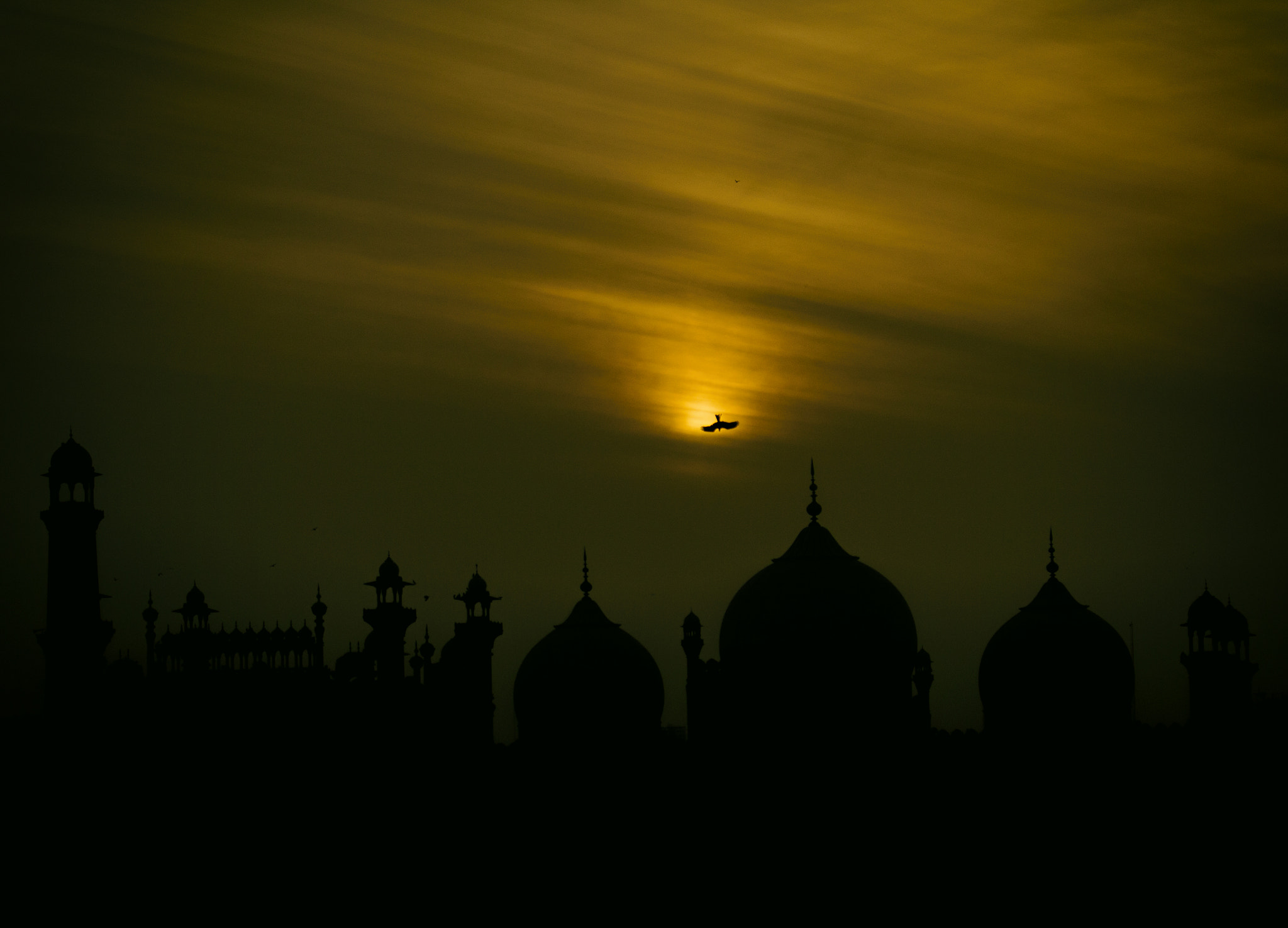 Canon EOS 60D sample photo. Leap of faith photography