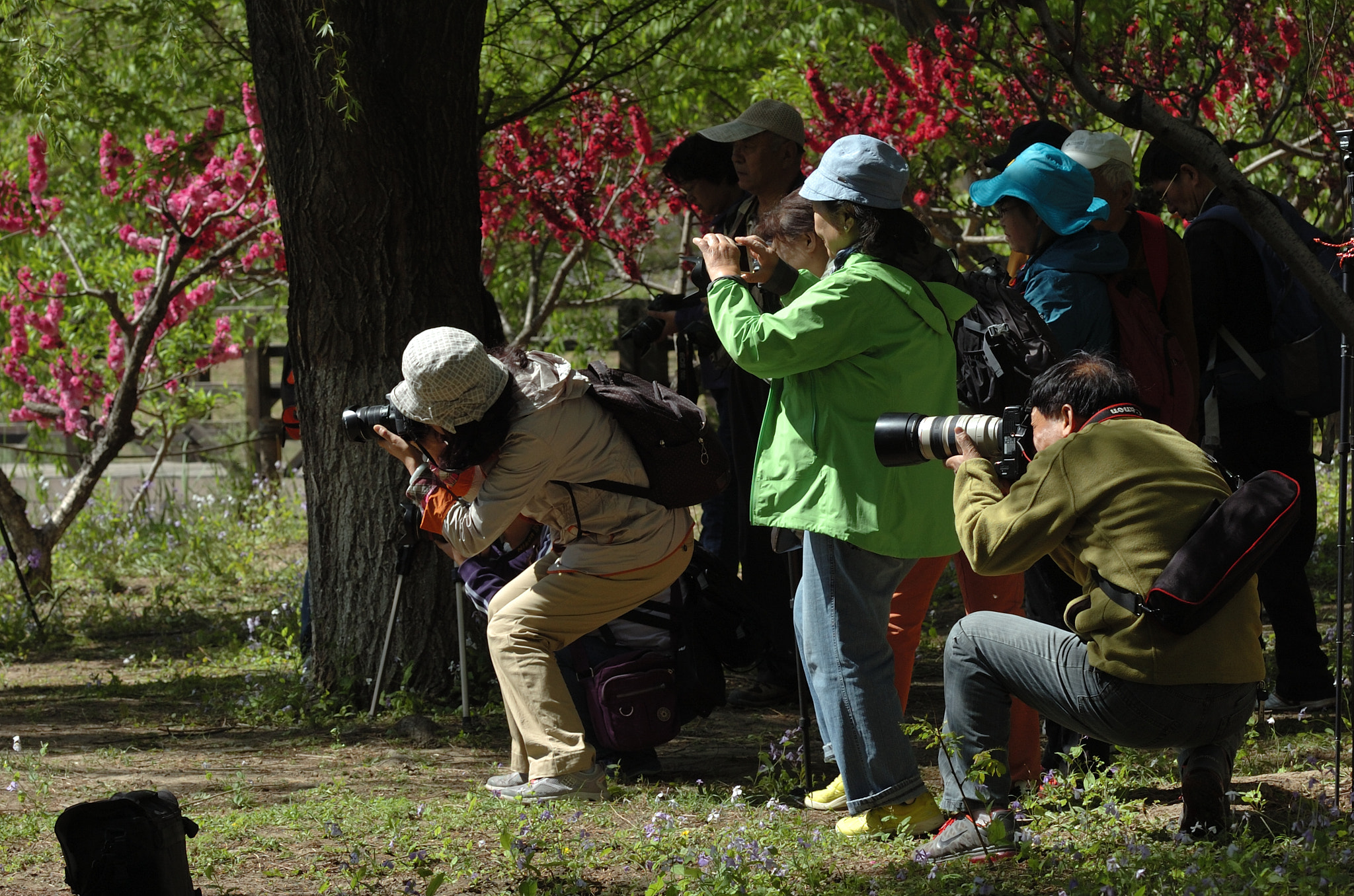 Nikon D2Hs + Nikon AF Nikkor 105mm F2D DC sample photo. 随拍 photography