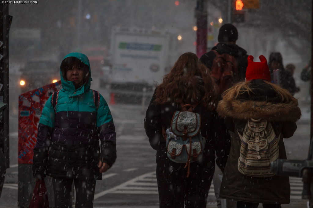 Canon EF-S 55-250mm F4-5.6 IS STM sample photo. Let is snow. photography