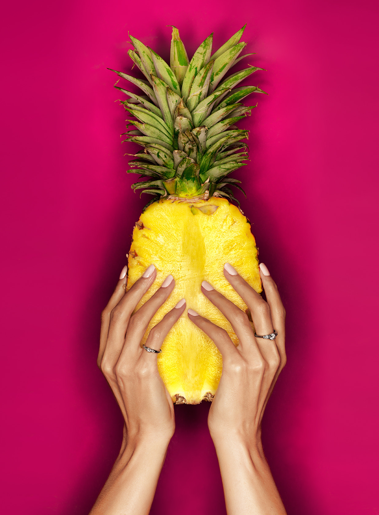 HC 80 sample photo. Ananas for isabelle barrier photography
