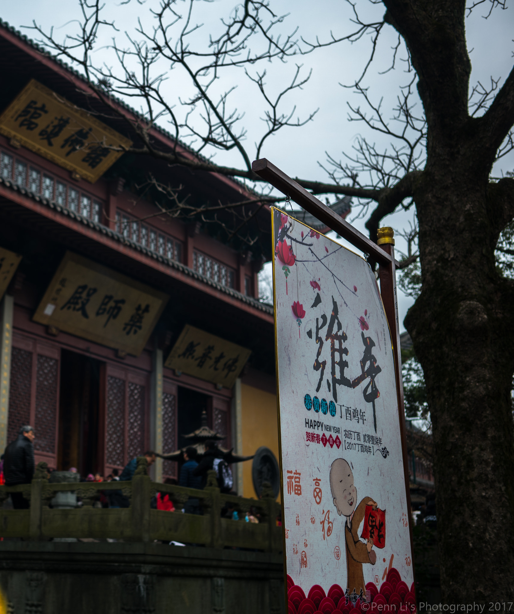 Sony a7R II + Sony Sonnar T* FE 35mm F2.8 ZA sample photo. The poster for chinese rooster year photography