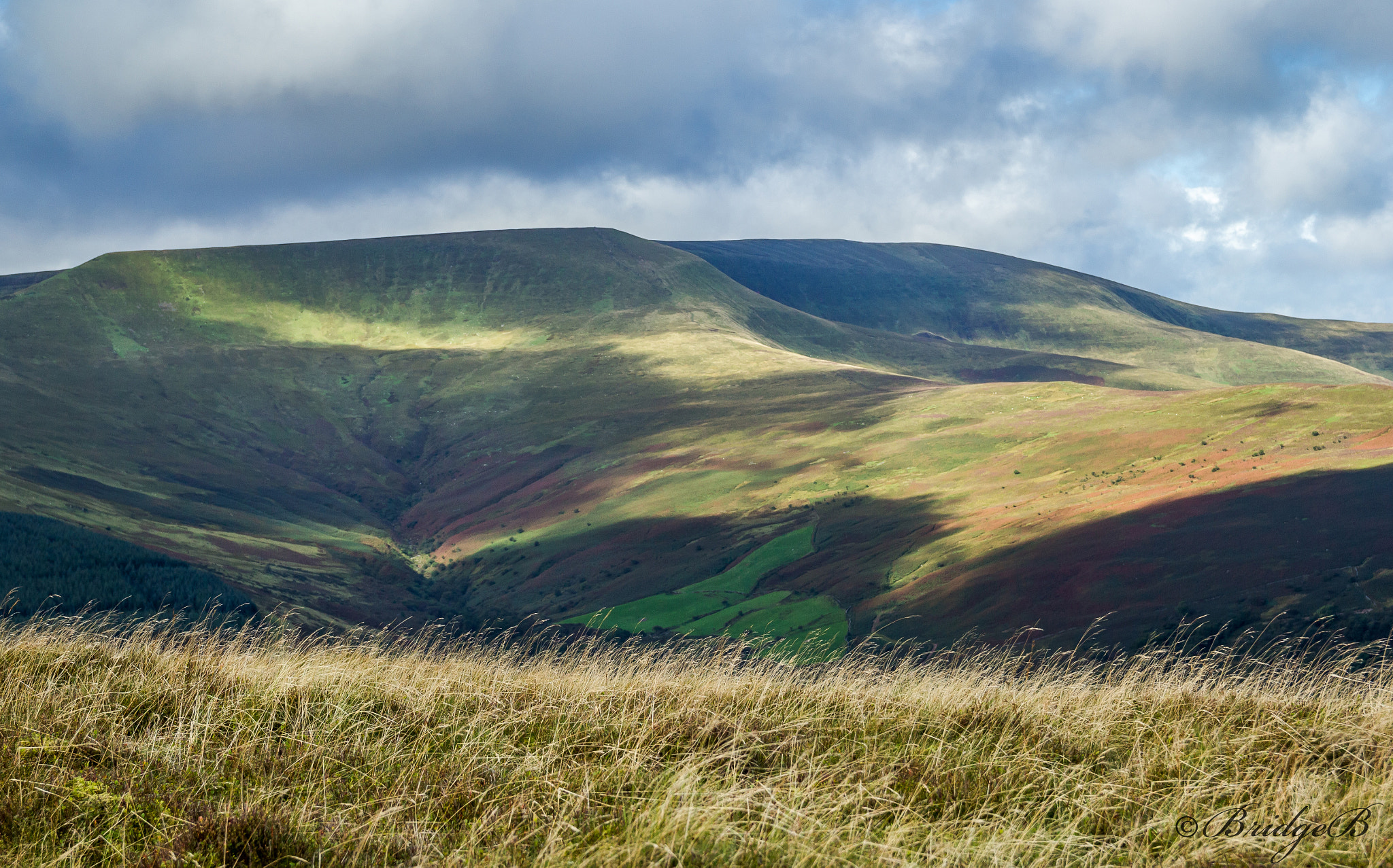 Canon EOS 60D + Sigma 18-50mm f/2.8 Macro sample photo. The black mountains photography