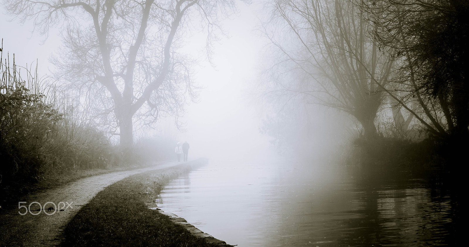 Sigma 18-50mm f/2.8 Macro sample photo. Early morning walk photography