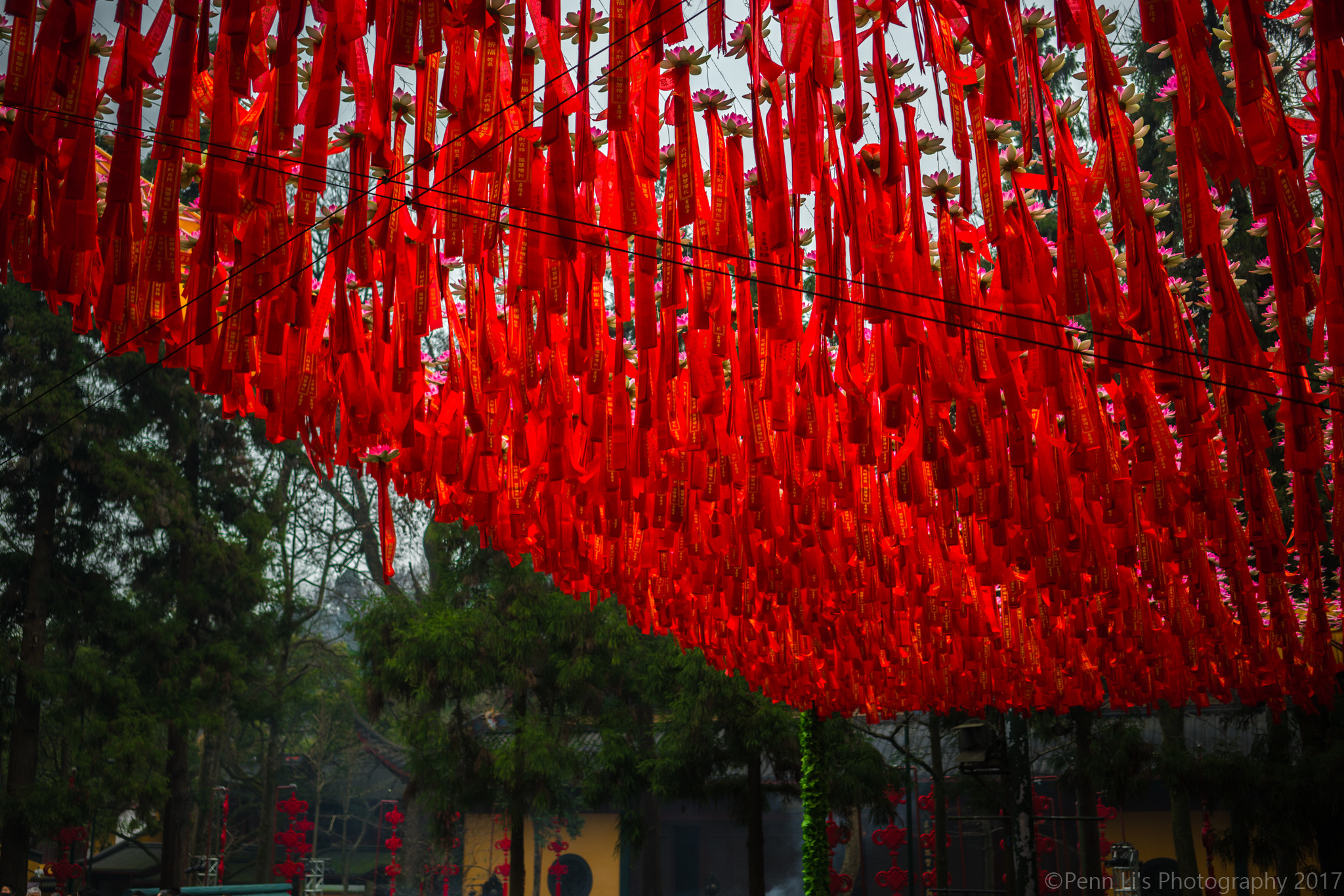 Sony a7R II + Sony Sonnar T* FE 35mm F2.8 ZA sample photo. The color of the chinese new year photography
