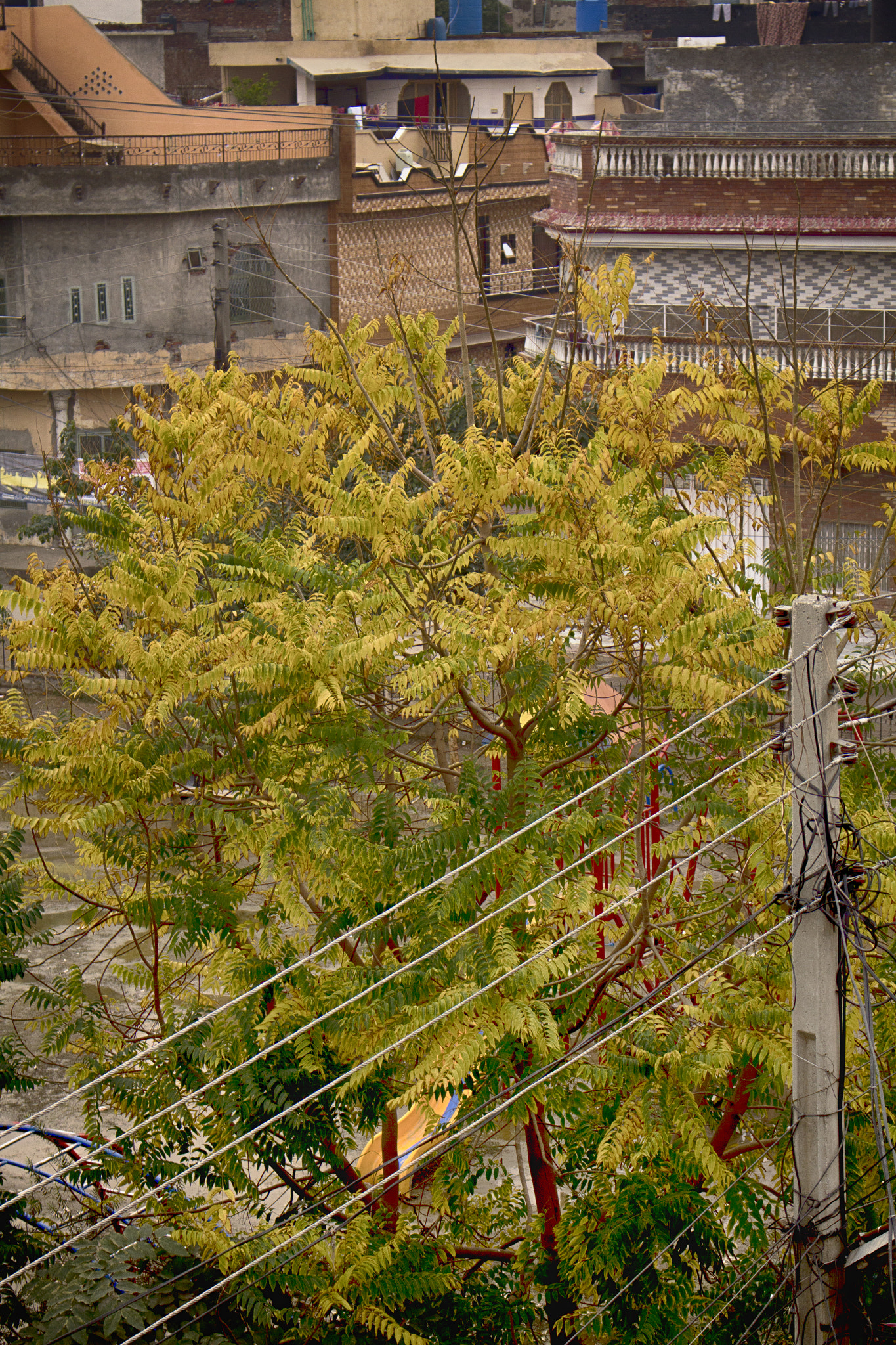 Canon EOS 60D sample photo