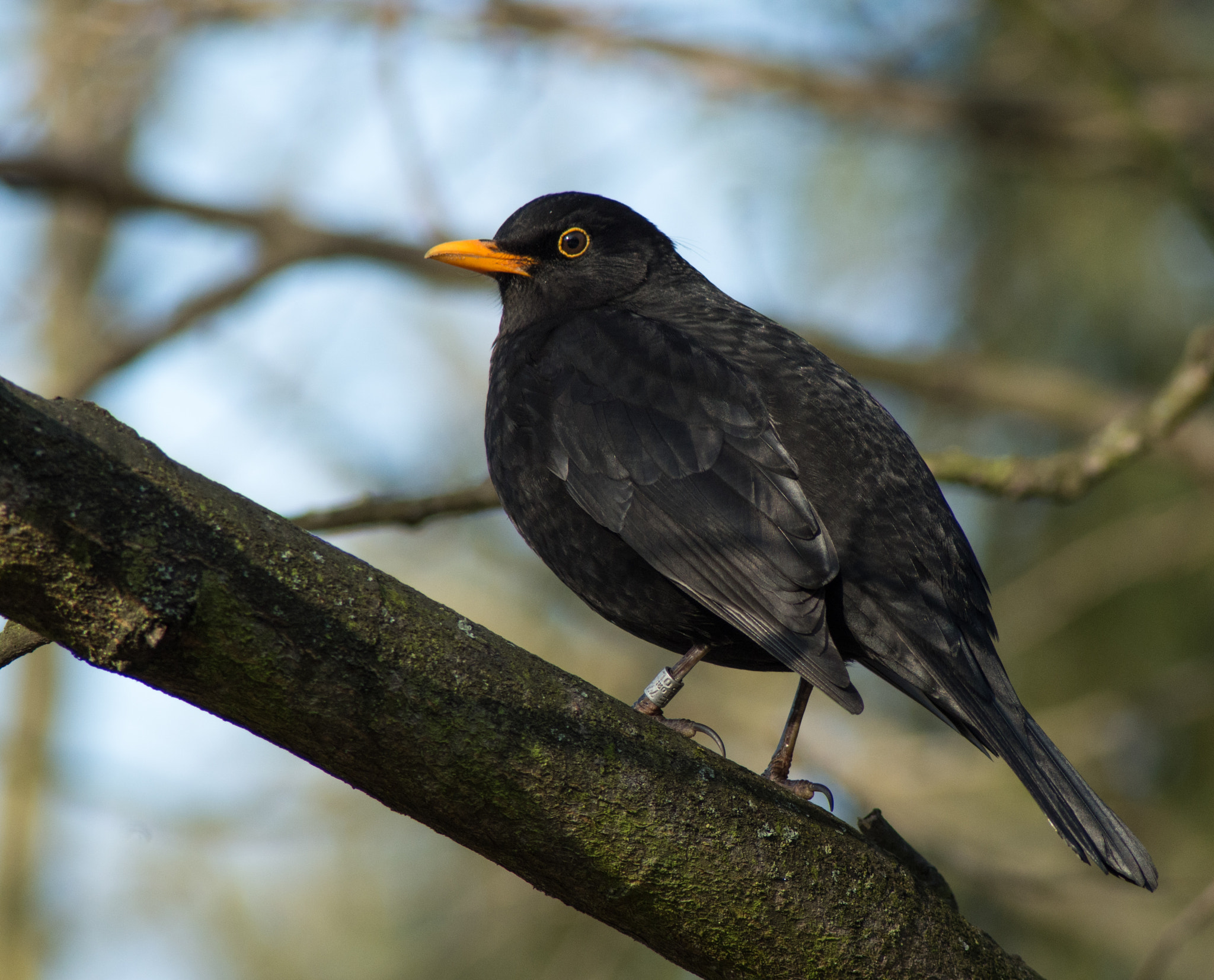 Tamron AF 70-300mm F4-5.6 Di LD Macro sample photo