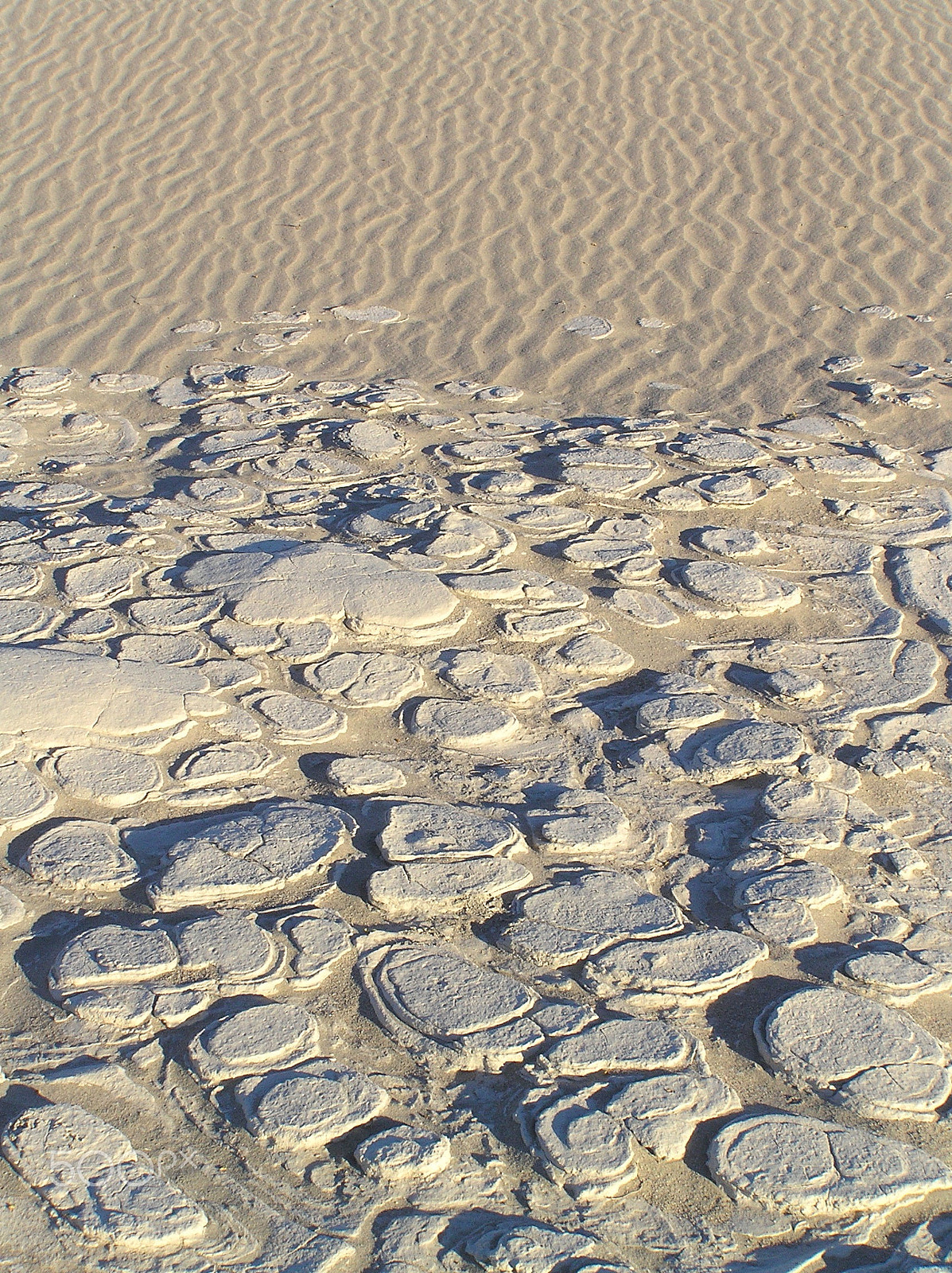 Olympus C765UZ sample photo. Hard sand, soft sand photography