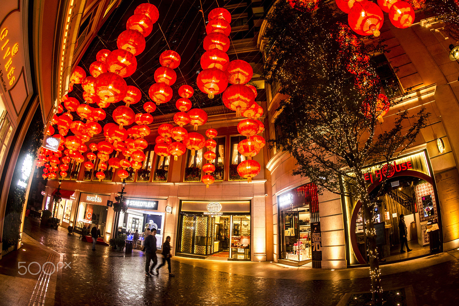 Nikon D800 + Nikon AF Fisheye-Nikkor 16mm F2.8D sample photo. Lee tung street photography