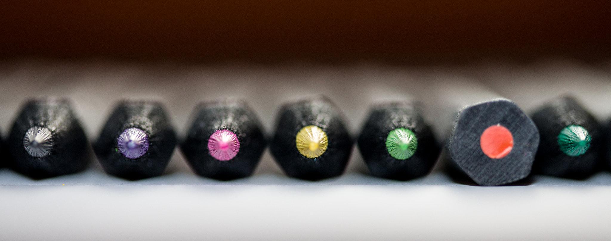 Canon EF-S 60mm F2.8 Macro USM sample photo. Uh... i don't agree photography