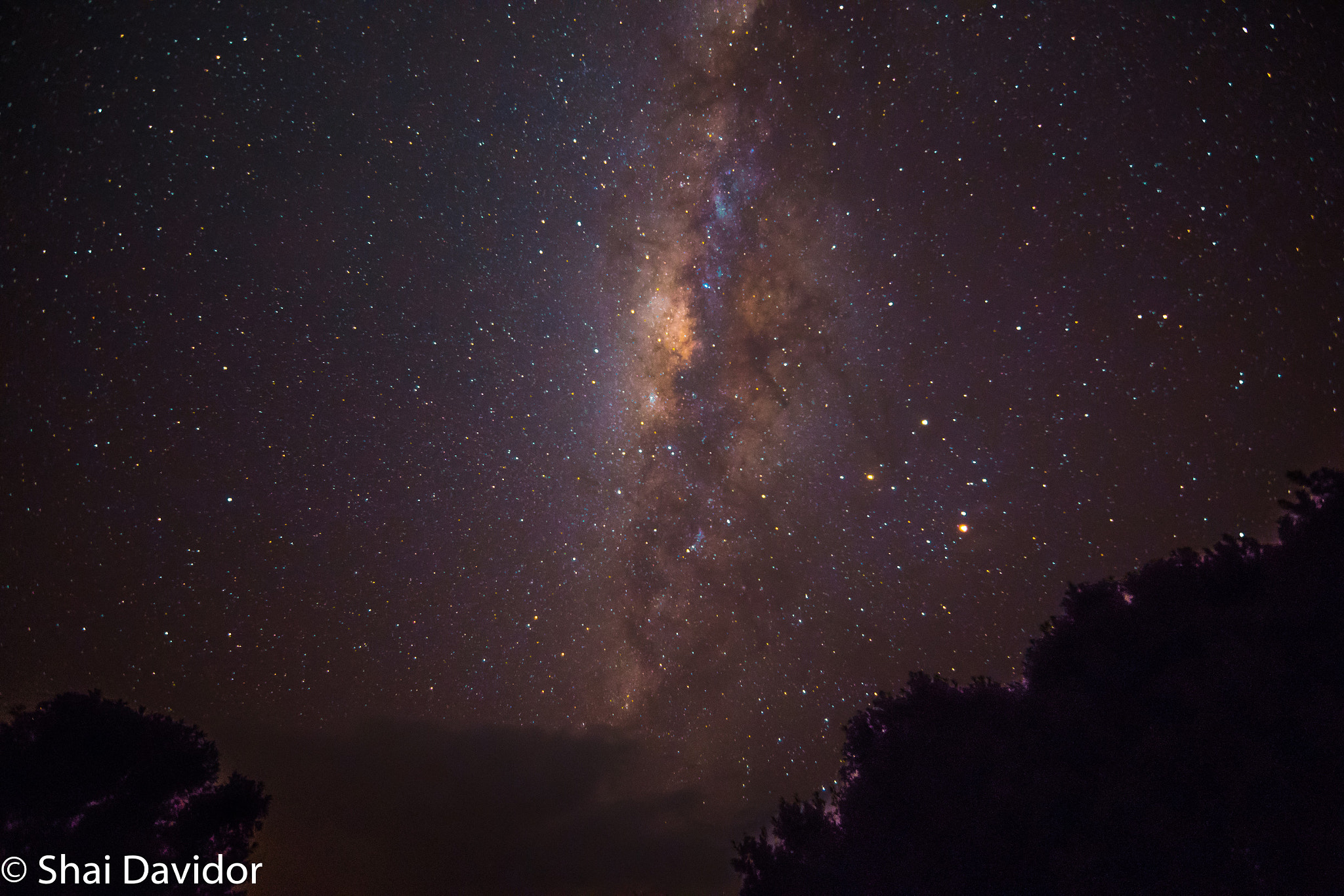 Nikon D500 sample photo. Ken_3055-1.jpg photography