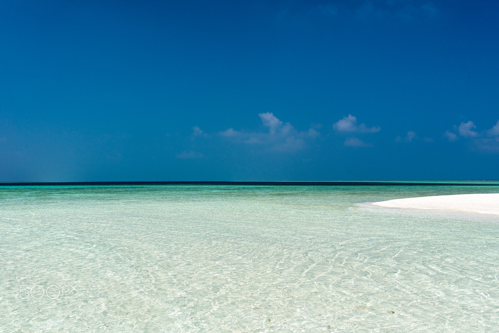 Nikon D800 sample photo. Maldives sandbank photography