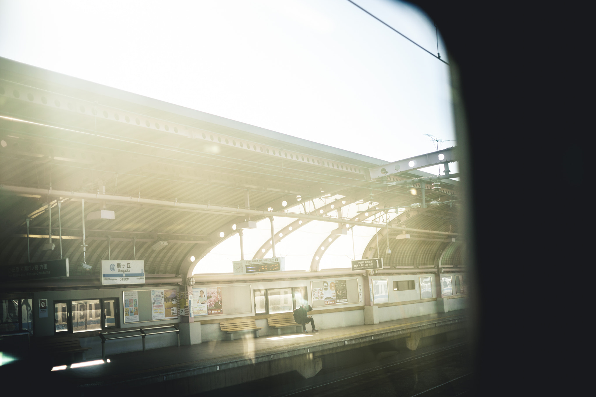 E 50mm F2 sample photo. Everyday in window photography