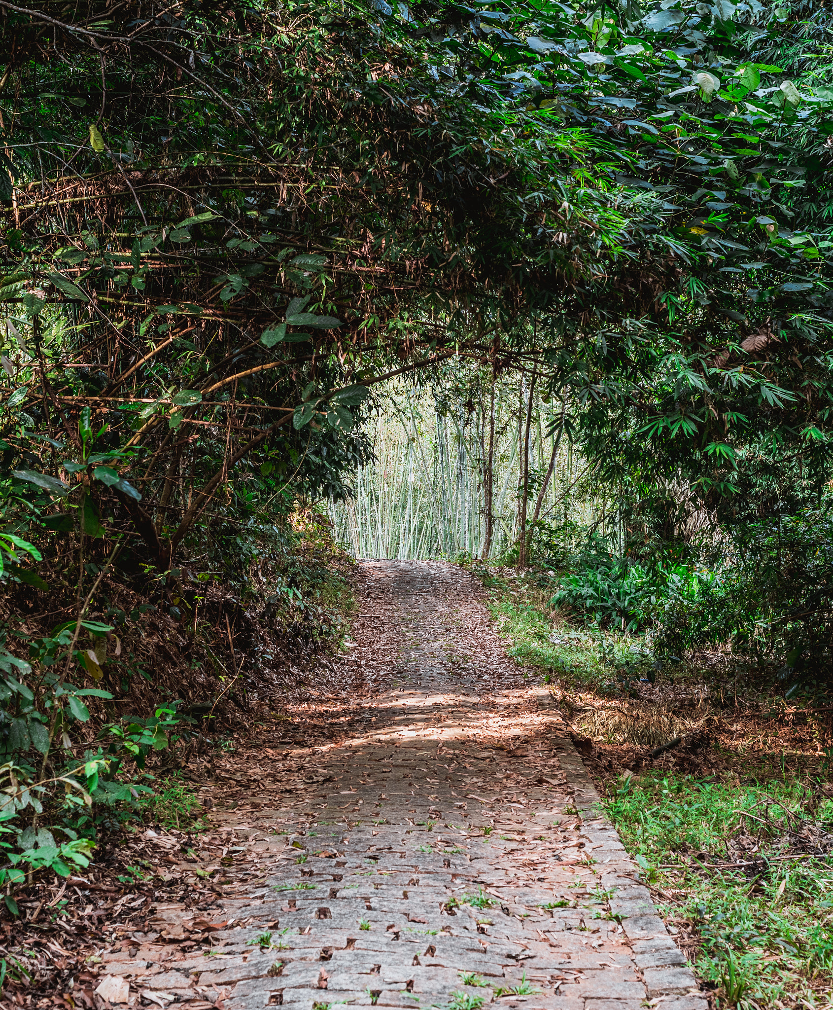 Pentax K-1 sample photo. Madagui 01, vietnam photography