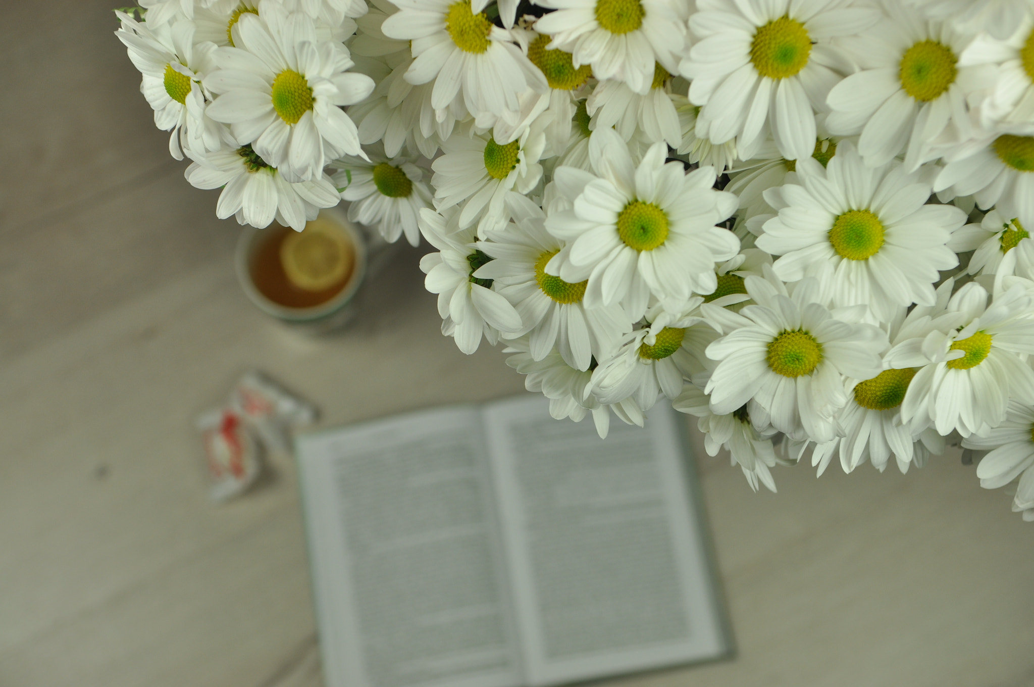 Nikon D5000 sample photo. Cosiness photography