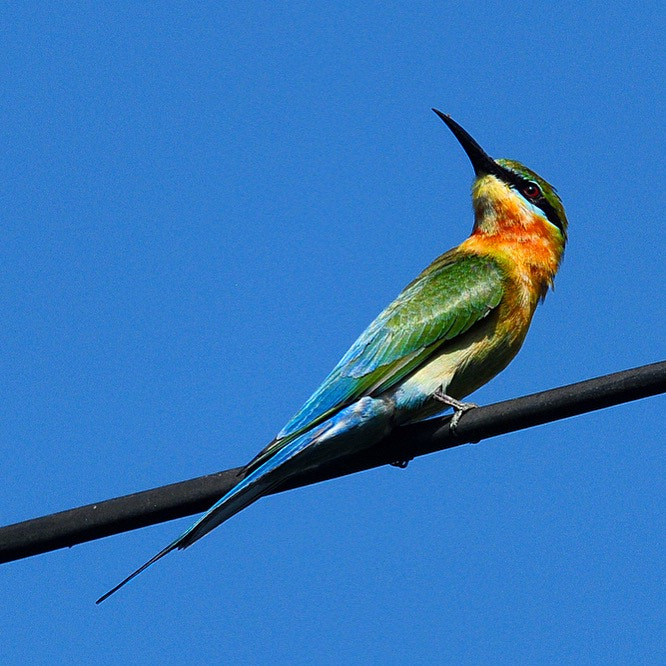 Nikon D300S sample photo. Colours! marvels of nature photography