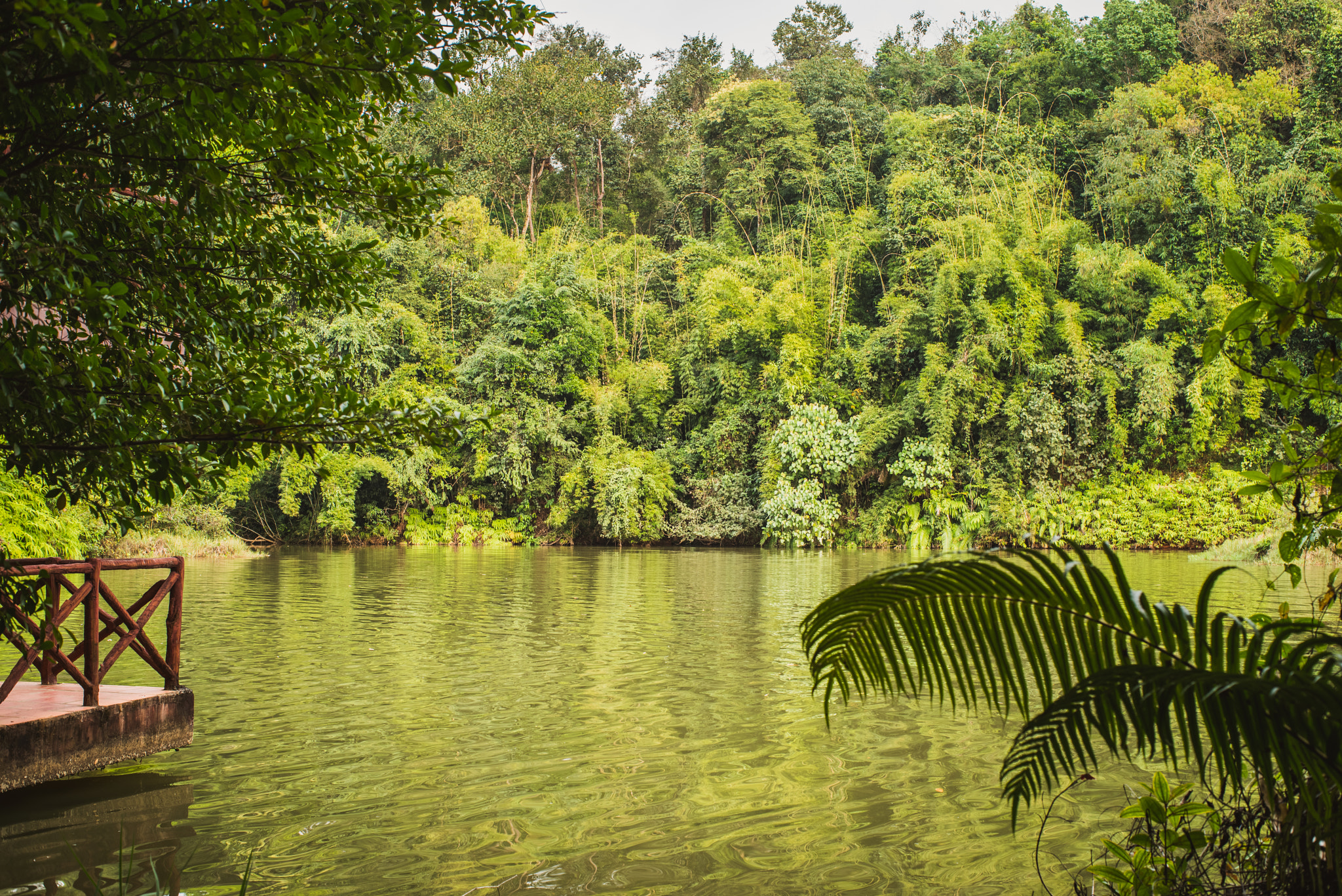 Pentax K-1 + Pentax smc FA 43mm F1.9 Limited sample photo. Madagui 03, vietnam photography