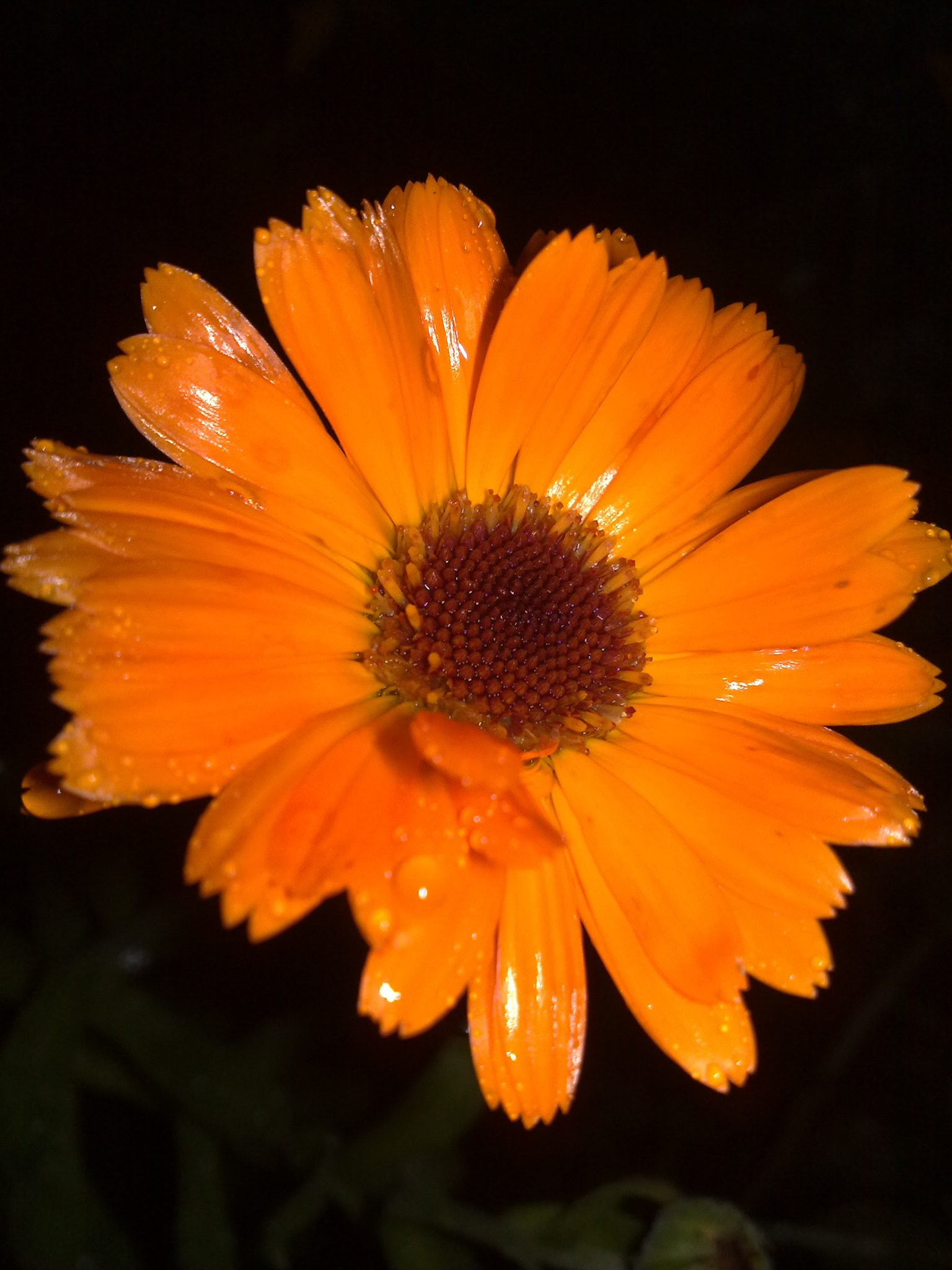 Nokia N82 sample photo