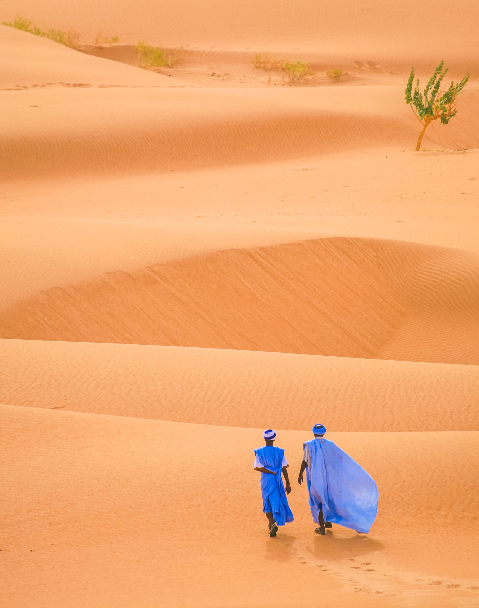 Canon EOS 5D + Canon EF 100-400mm F4.5-5.6L IS USM sample photo. People walking in the desert photography