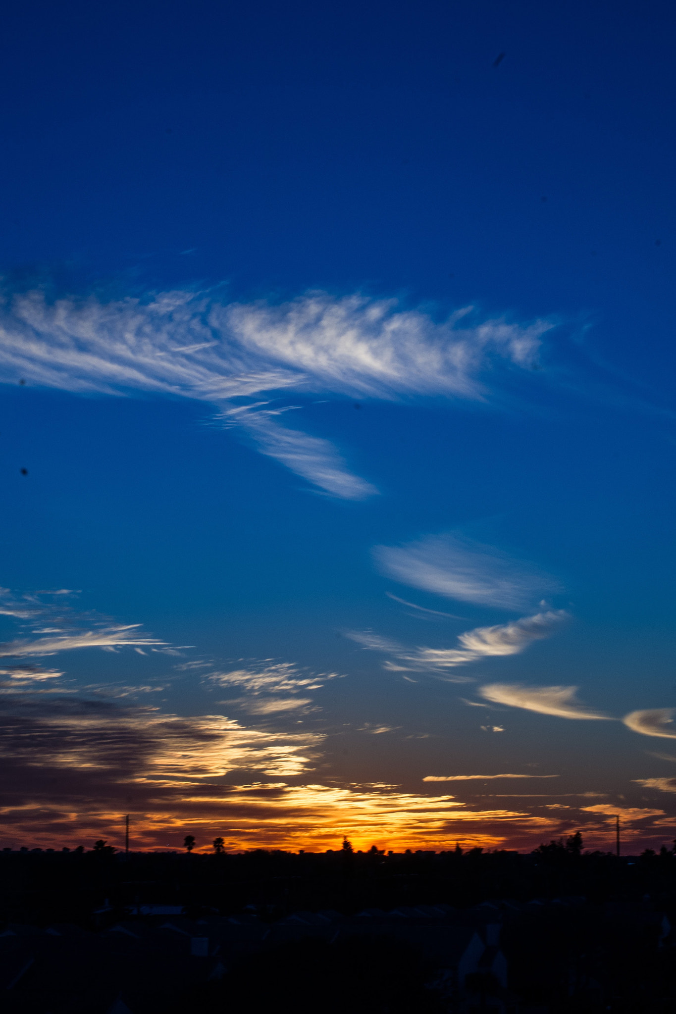 Sony DT 55-200mm F4-5.6 SAM sample photo. God paints photography