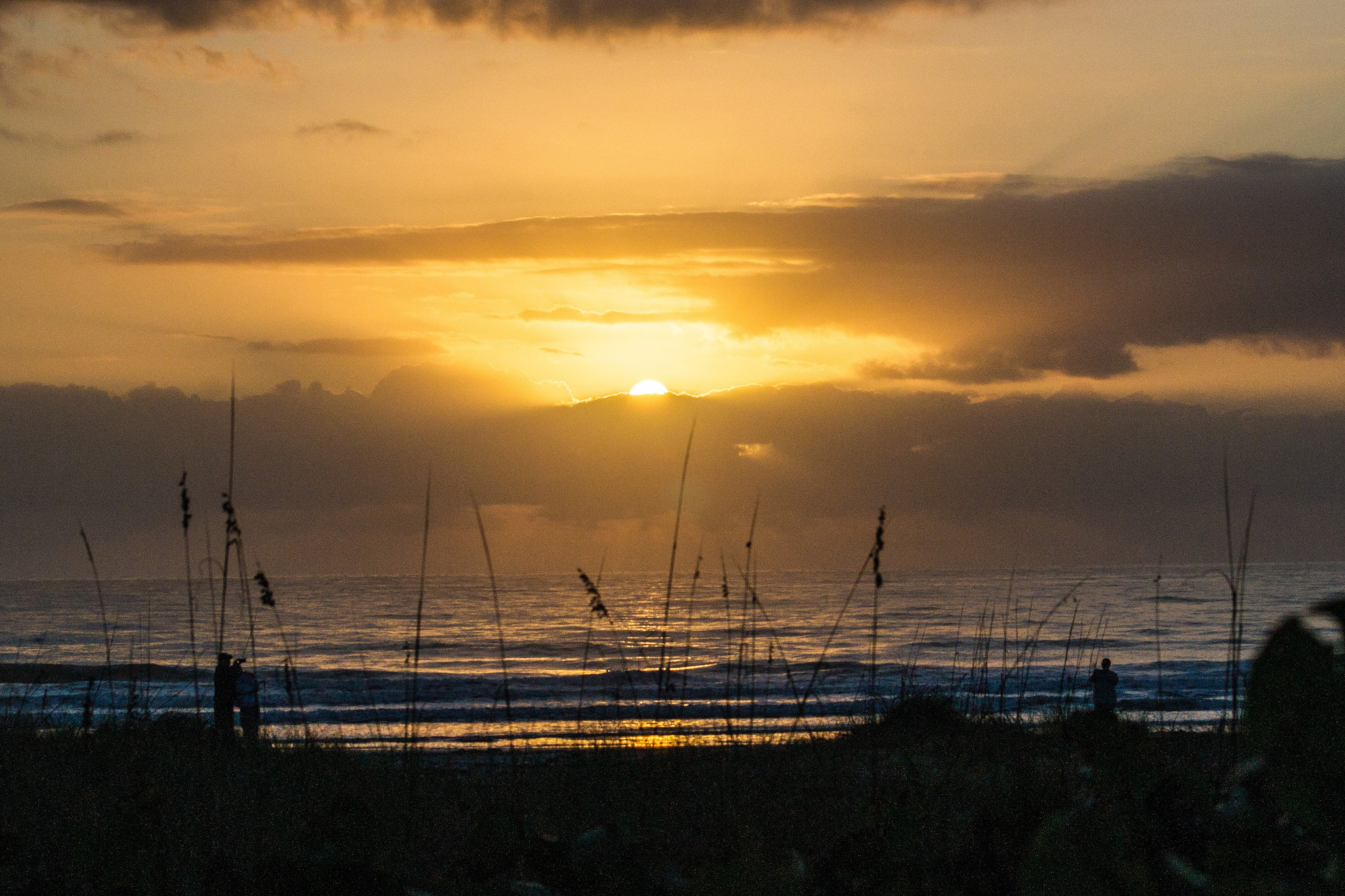 Sony 75-300mm F4.5-5.6 sample photo. Illuminate... photography
