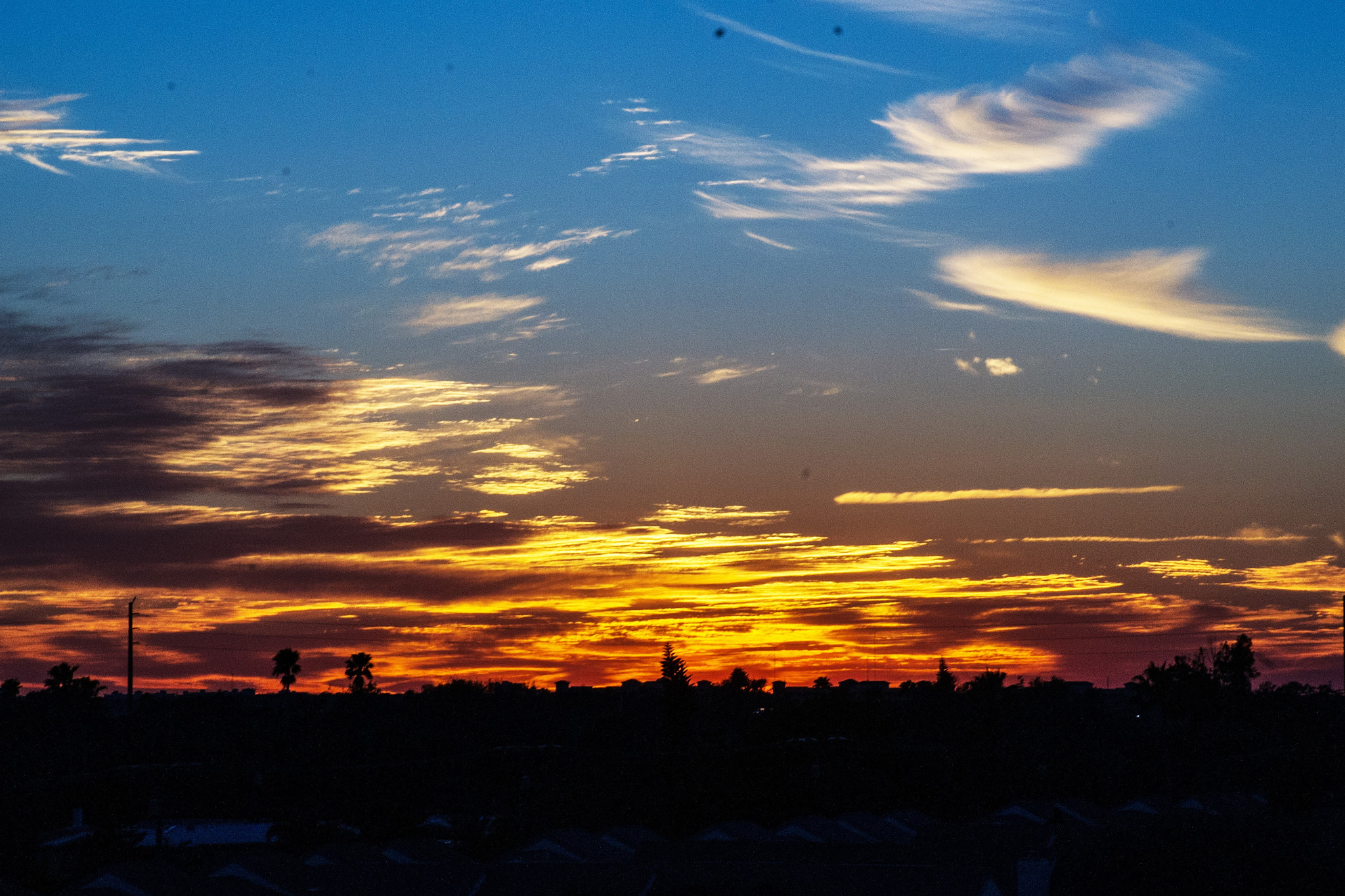 Sony DT 55-200mm F4-5.6 SAM sample photo. End... photography