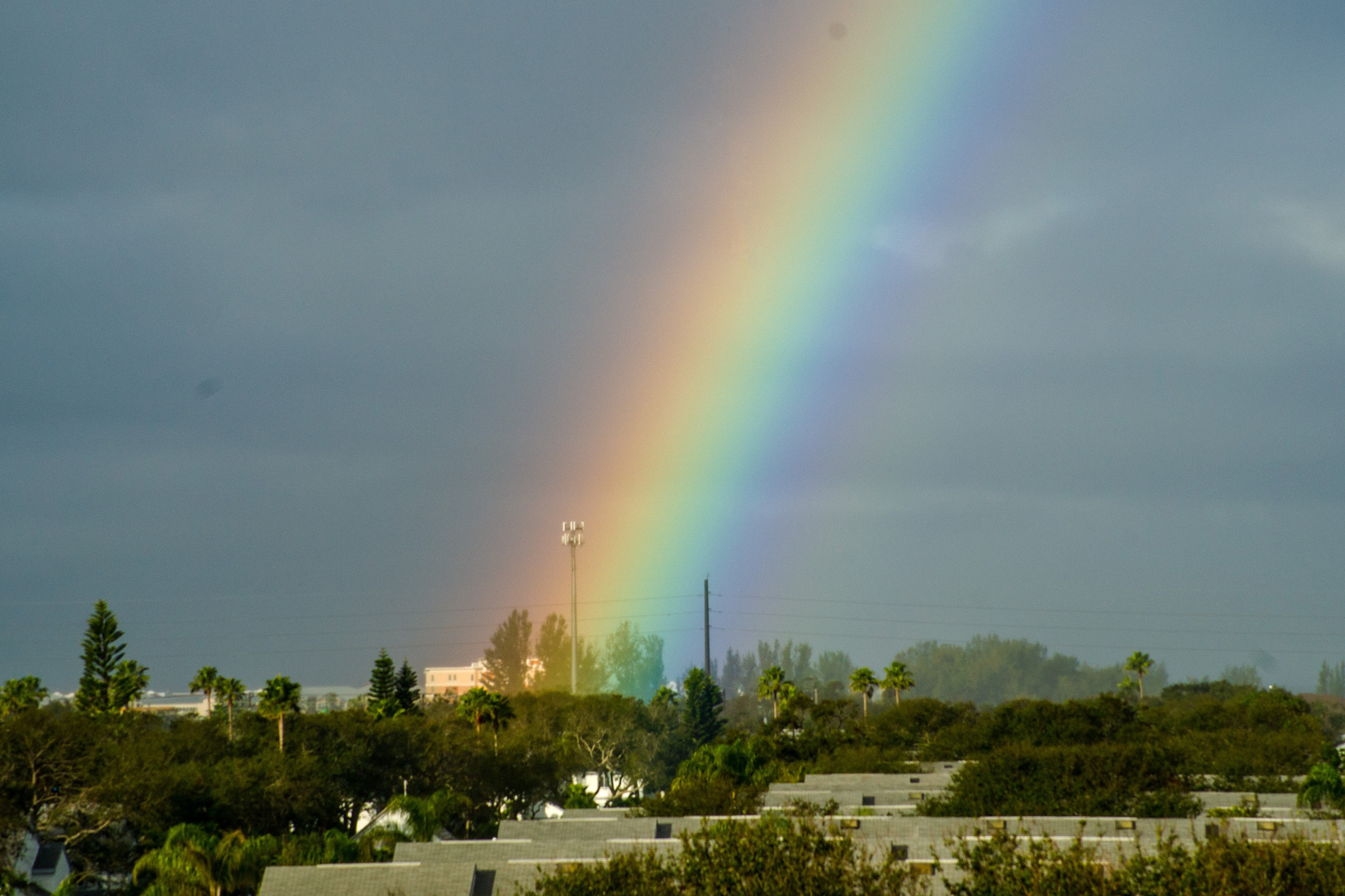 Sony DT 55-200mm F4-5.6 SAM sample photo. God's promise photography
