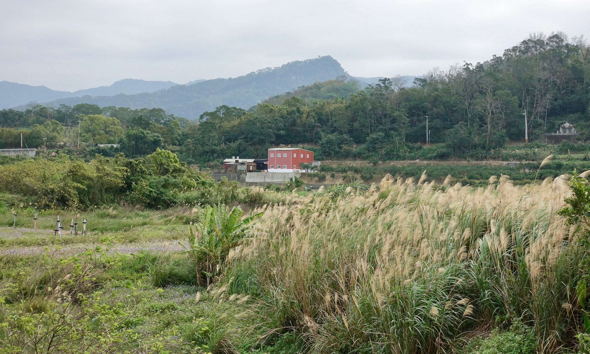 Sony DSC-RX100M5 + Sony 24-70mm F1.8-2.8 sample photo. Red barn photography