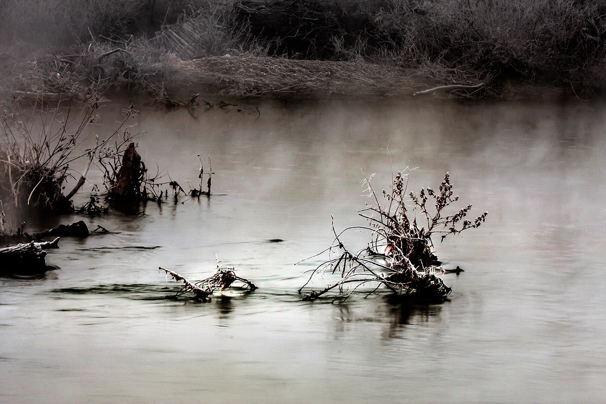 Canon EF 100mm F2.8 Macro USM sample photo. Morning ice photography
