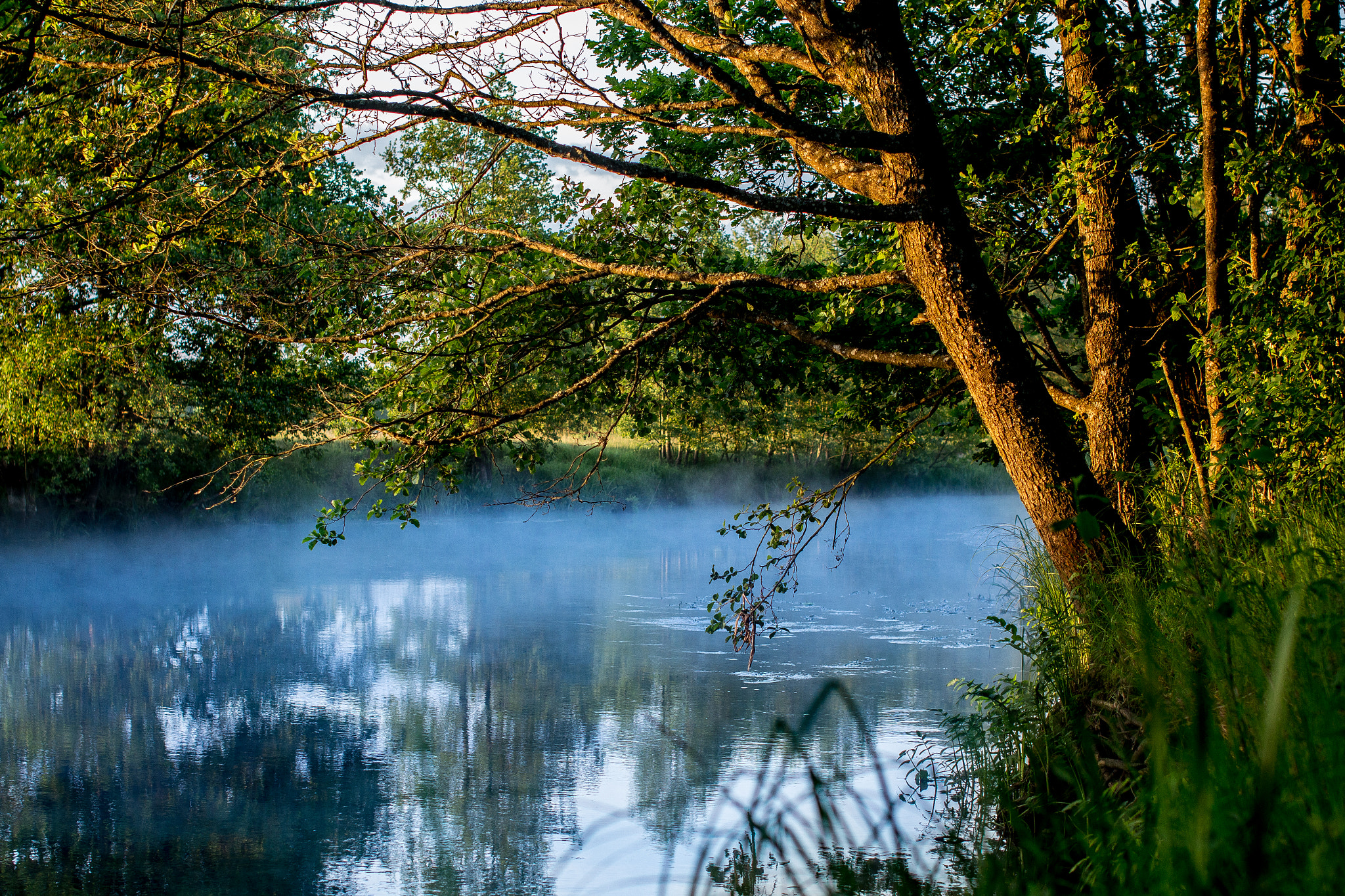Sigma 50mm F1.4 EX DG HSM sample photo. River at dawn photography