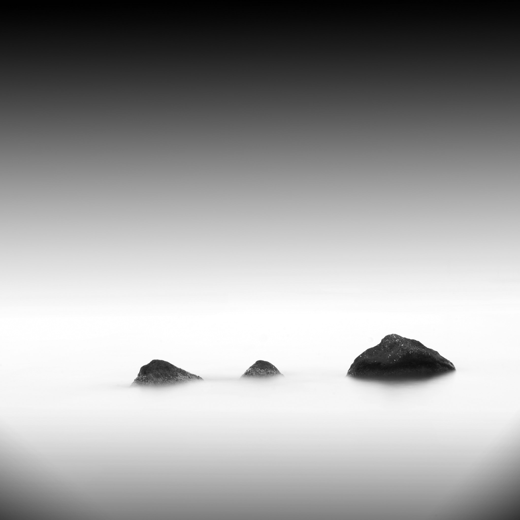 Nikon D80 sample photo. ... photography