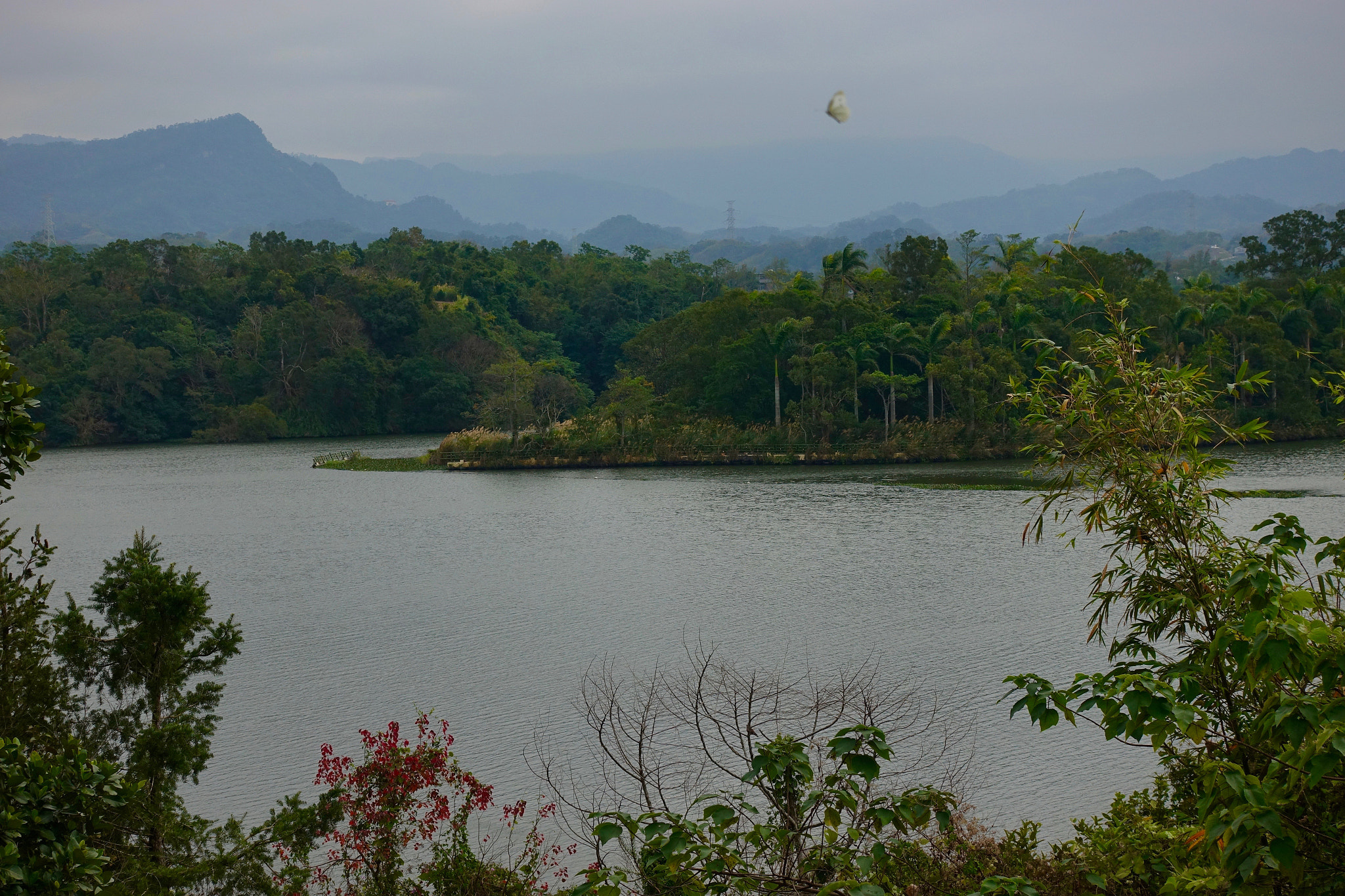 Sony DSC-RX100M5 + Sony 24-70mm F1.8-2.8 sample photo. 峨嵋湖 ermei lake, shinzhu, taiwan photography