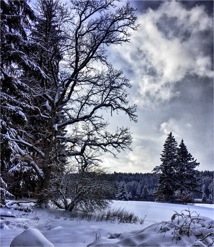 KONICA MINOLTA DiMAGE A1 sample photo. Winter photography