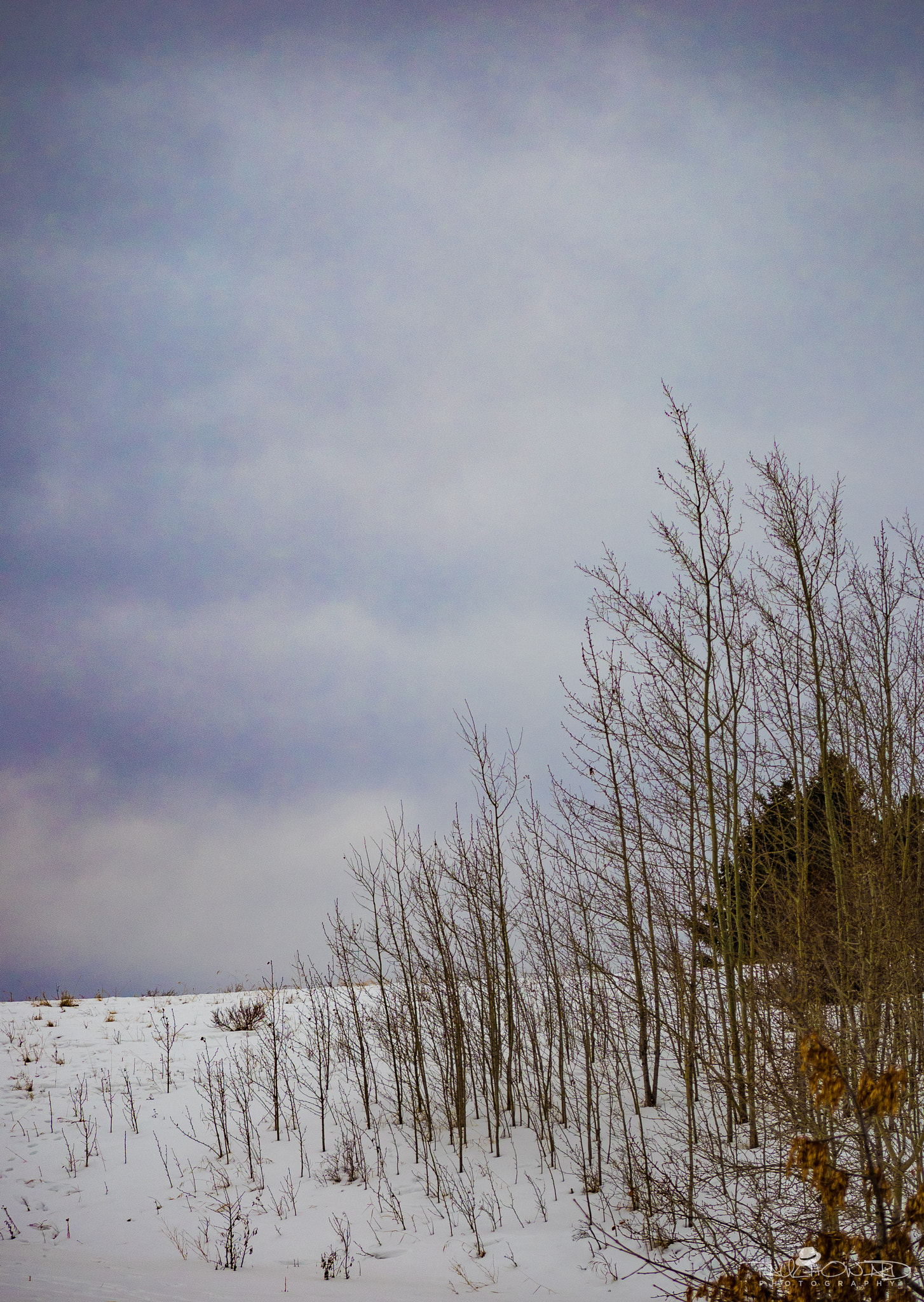 Panasonic Lumix G X Vario 35-100mm F2.8 OIS sample photo. Day 28: over the hill photography