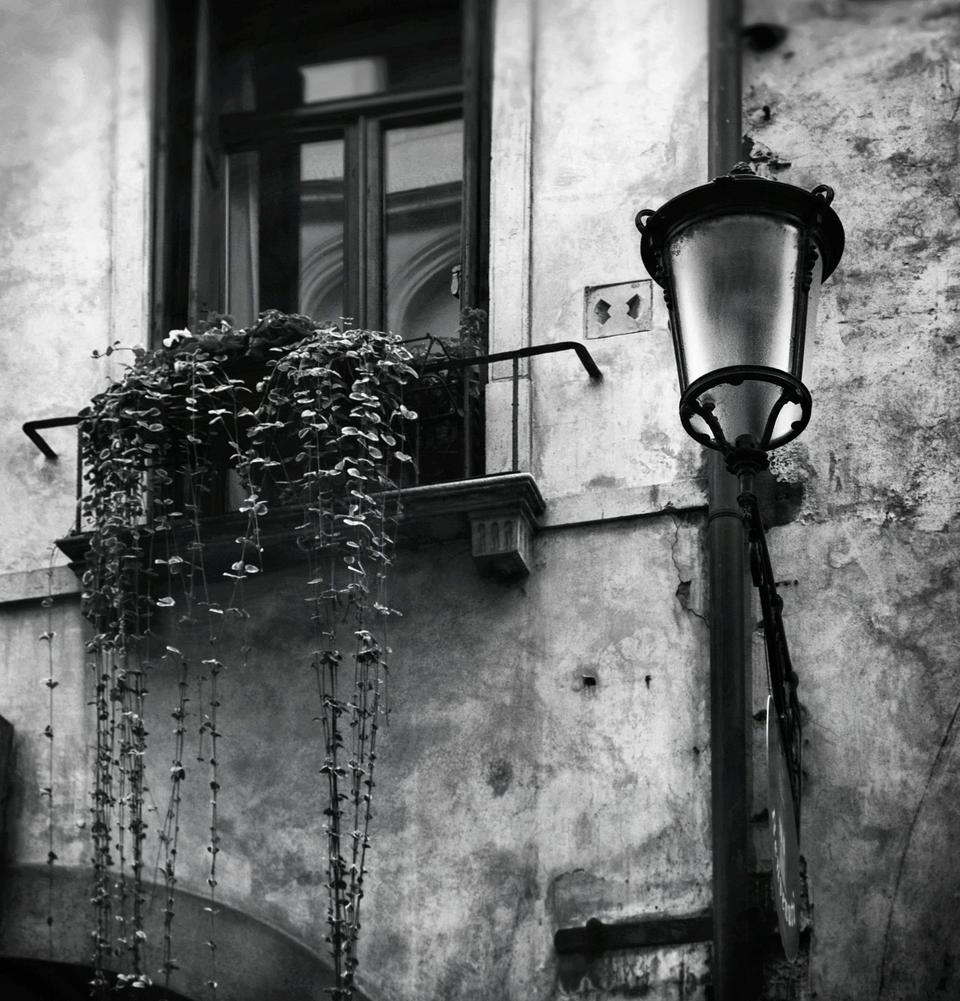 Fujifilm X-Pro1 + Fujifilm XF 18-55mm F2.8-4 R LM OIS sample photo. Padova photography