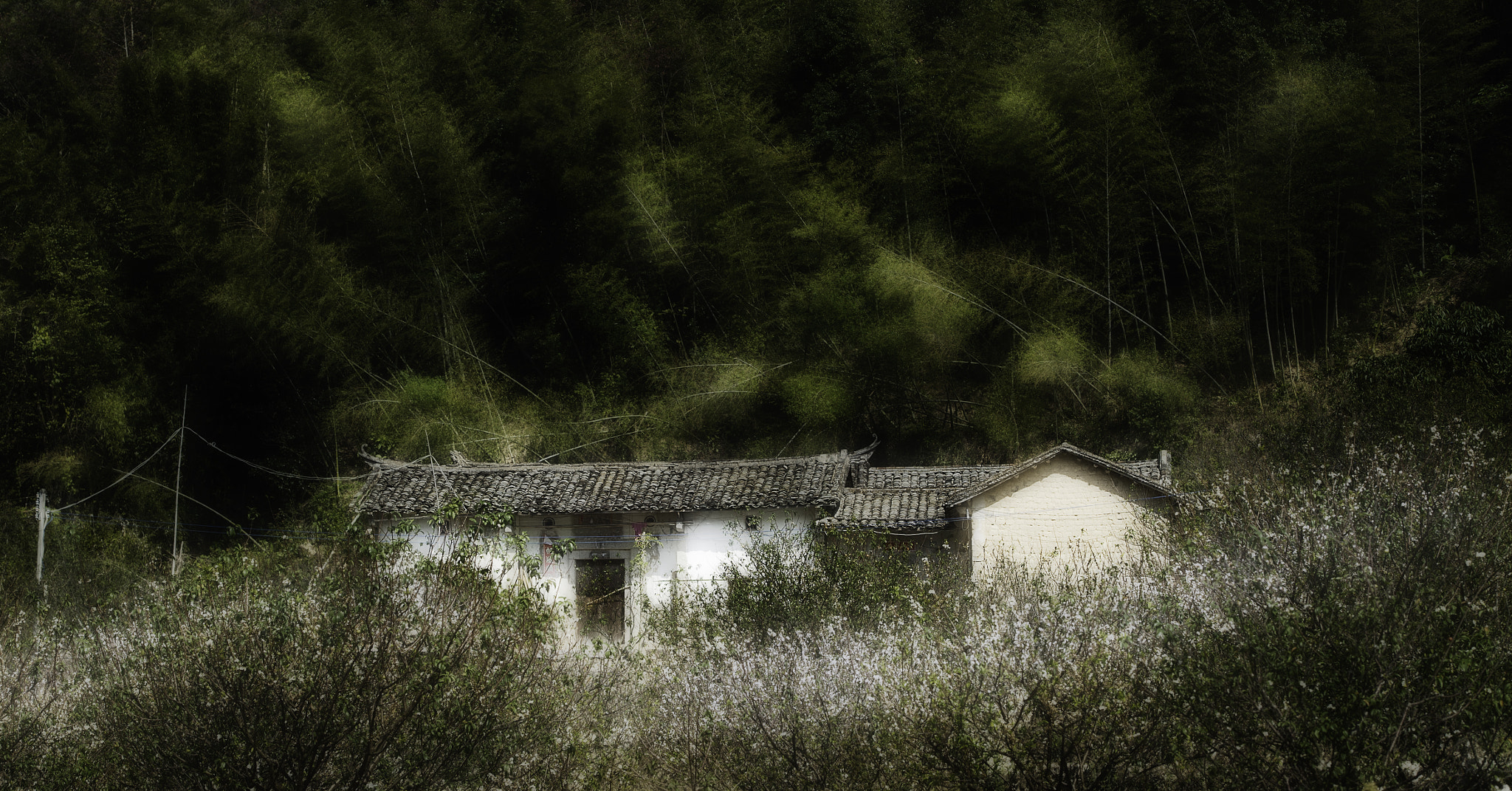 Nikon Df sample photo. Luhe countryside photography