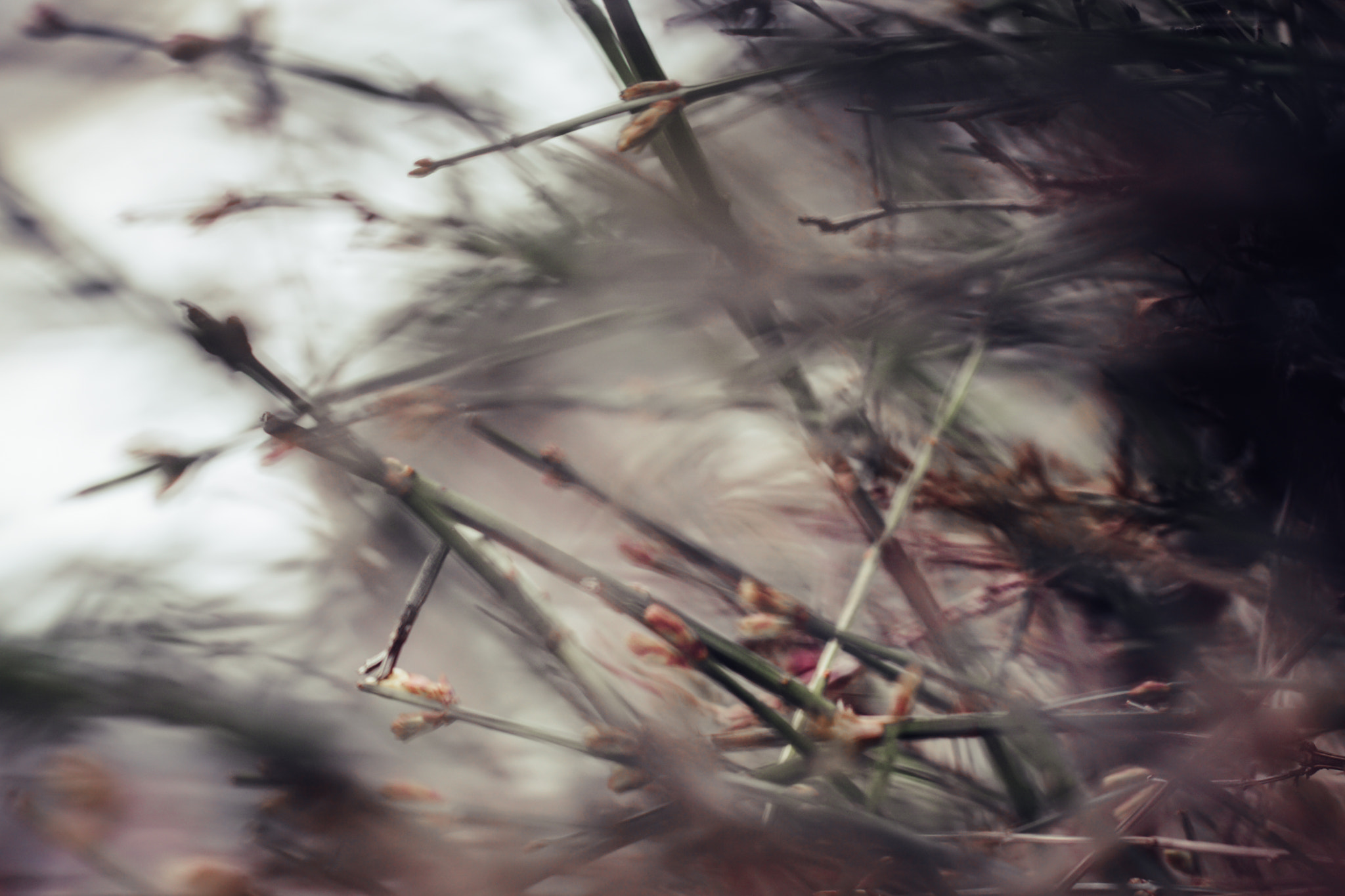 Sony a6000 + Sony DT 50mm F1.8 SAM sample photo. War photography