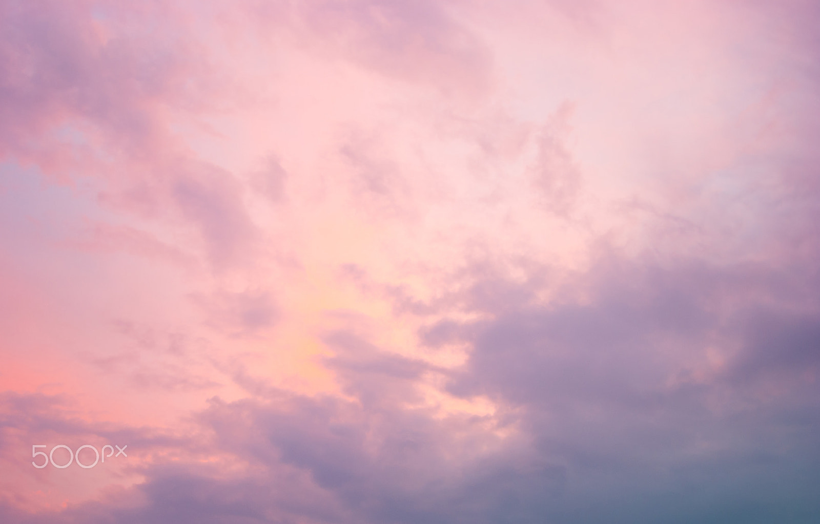 Nikon D3000 sample photo. Pink background photography