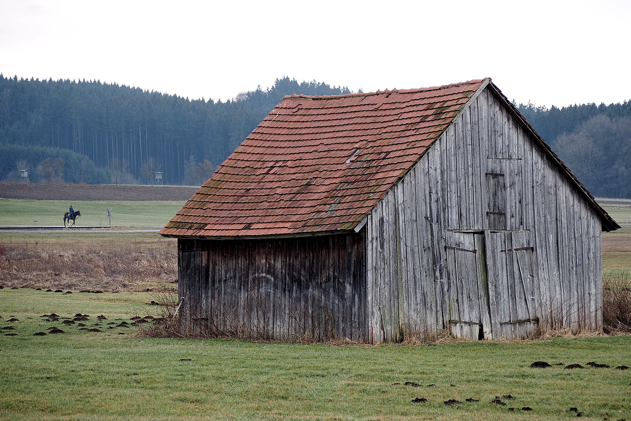 Olympus OM-D E-M5 II sample photo. Countryside pony ride photography