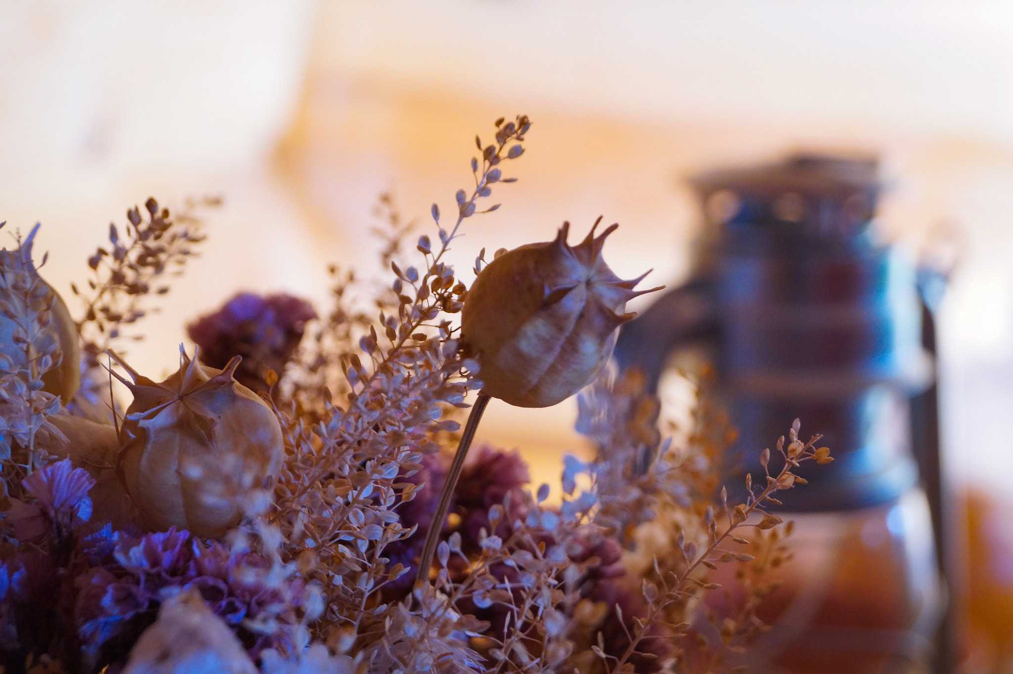 Sony DT 18-55mm F3.5-5.6 SAM II sample photo. Flowers photography