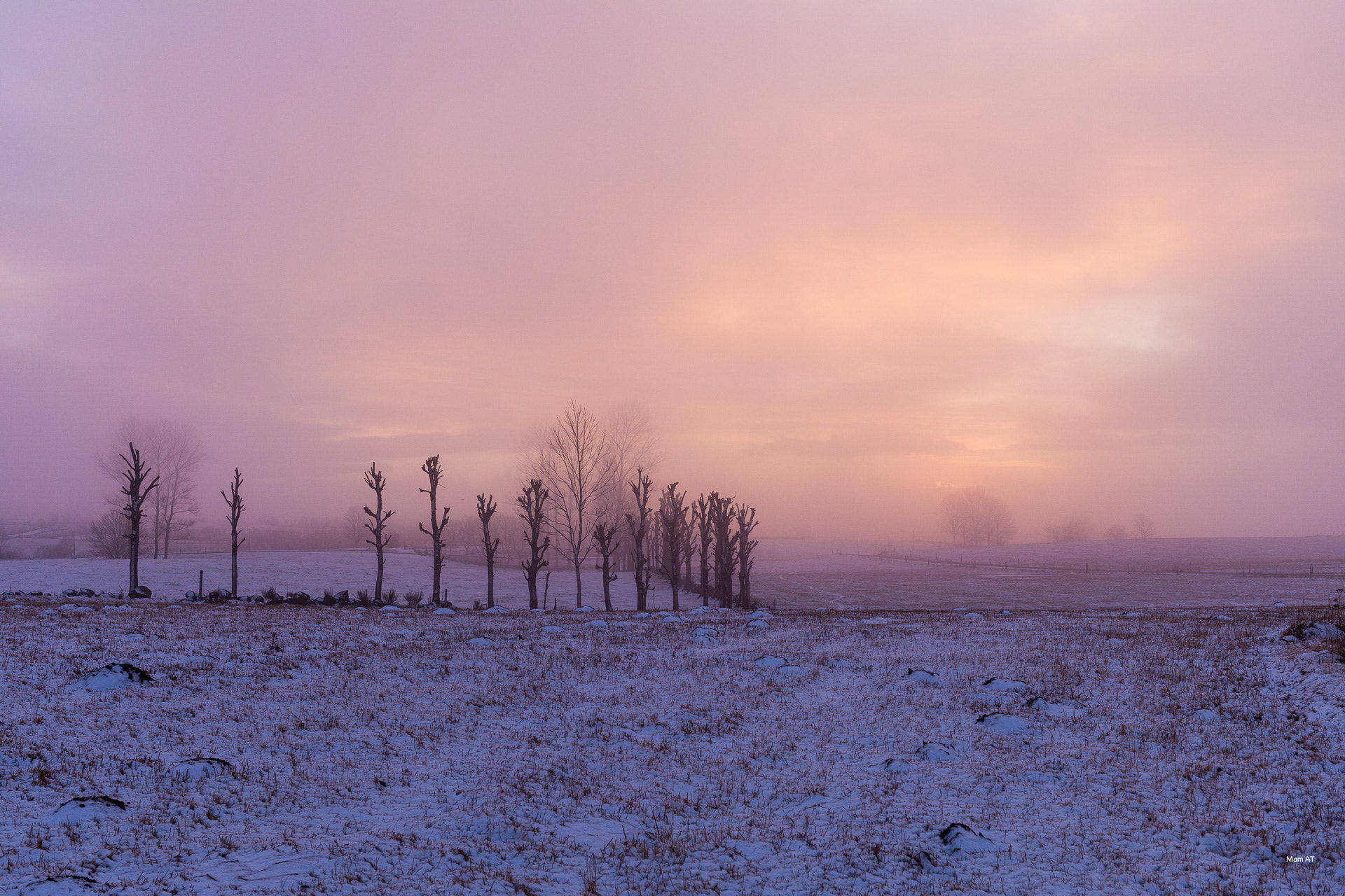 Canon EF 35mm F2 IS USM sample photo. Y'a des matins... photography