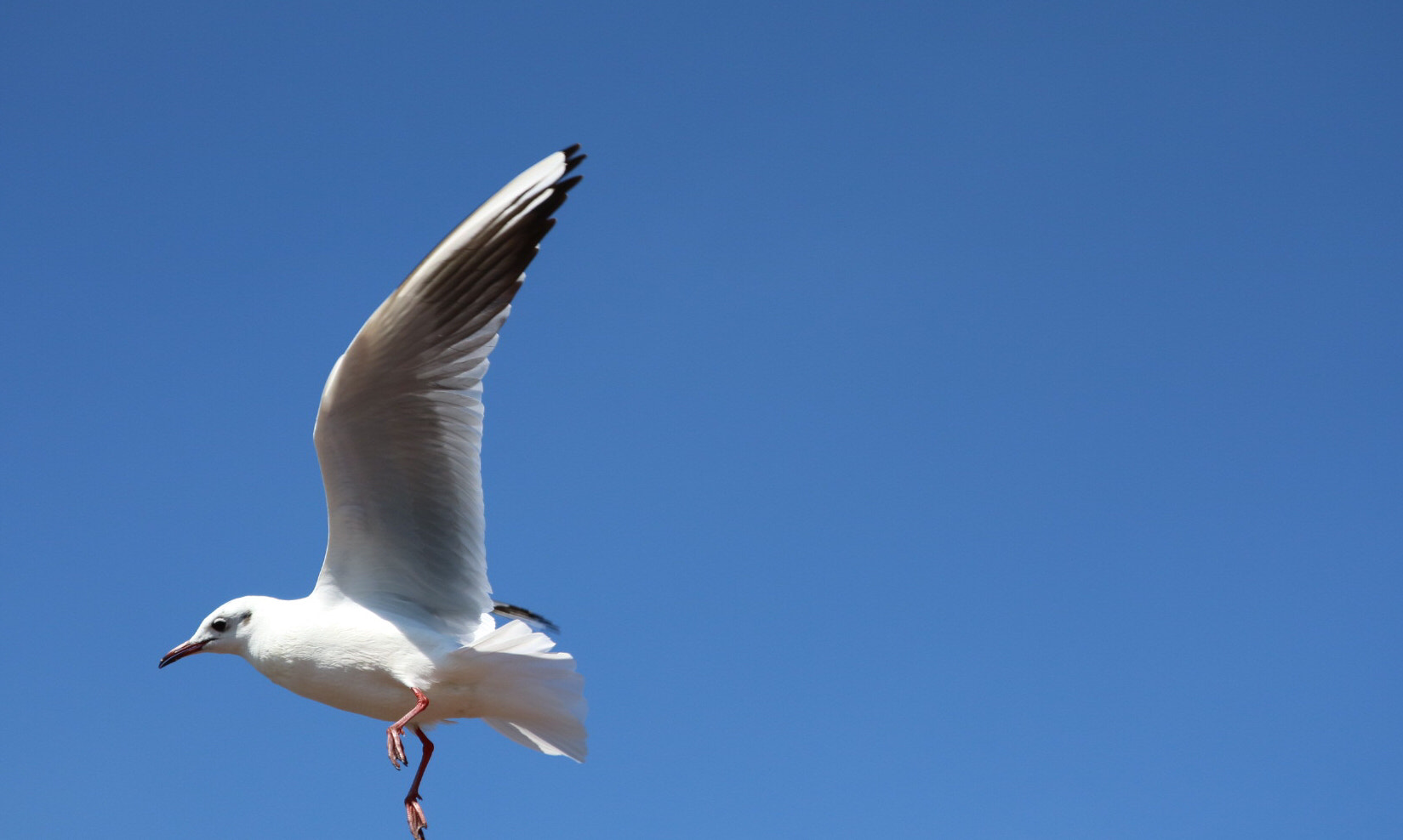 Canon EOS M3 sample photo