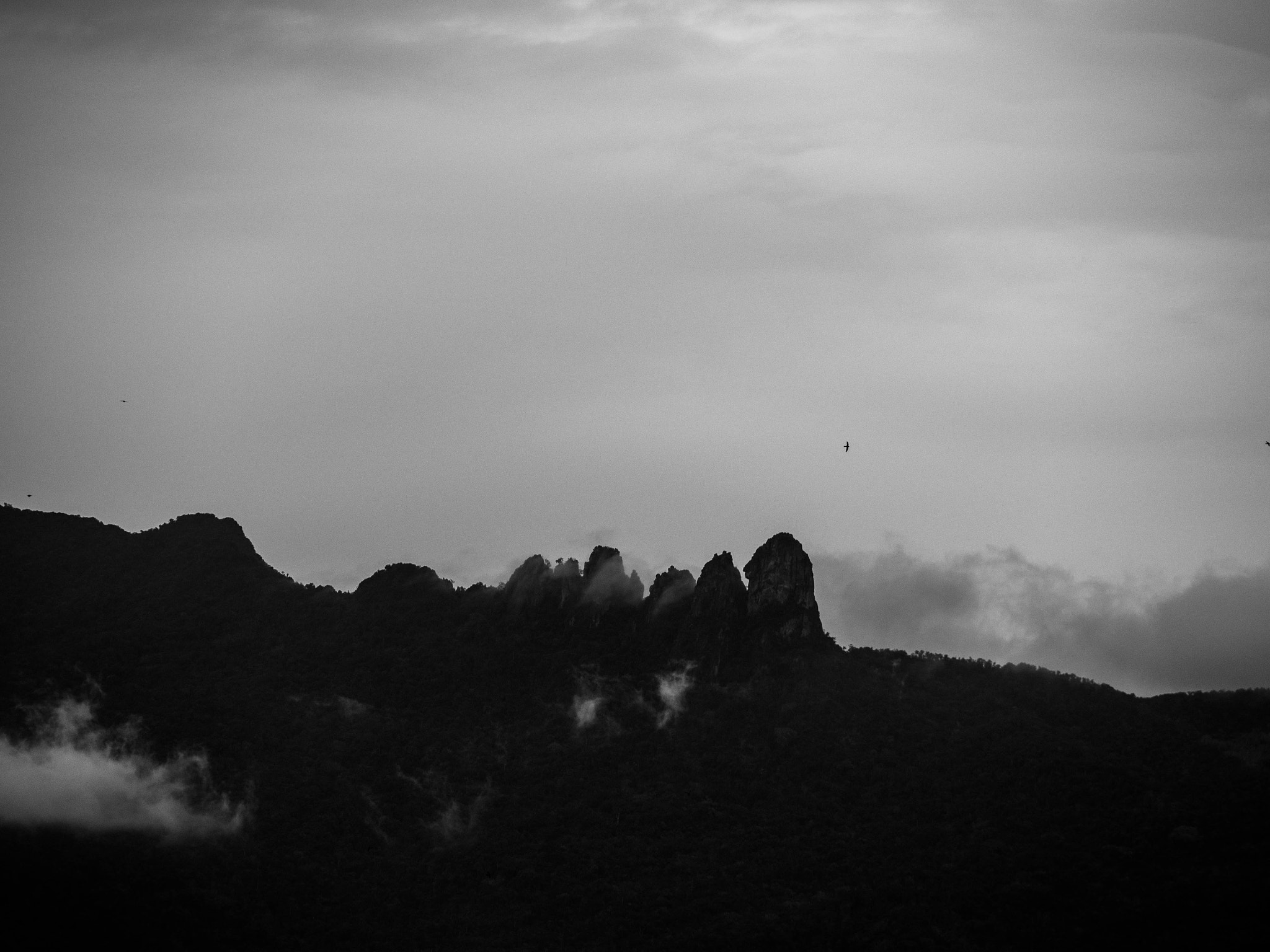 Panasonic Lumix G X Vario 35-100mm F2.8 OIS sample photo. Over the top photography