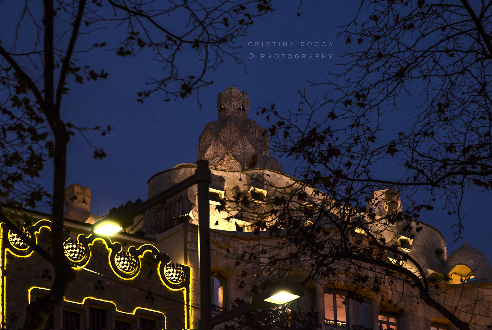 Nikon D7000 + Tamron SP 24-70mm F2.8 Di VC USD sample photo. Casa milà photography