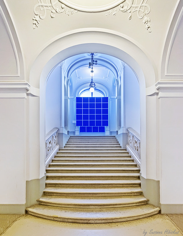 Nikon AF-S Nikkor 14-24mm F2.8G ED sample photo. Wien - dorotheum photography