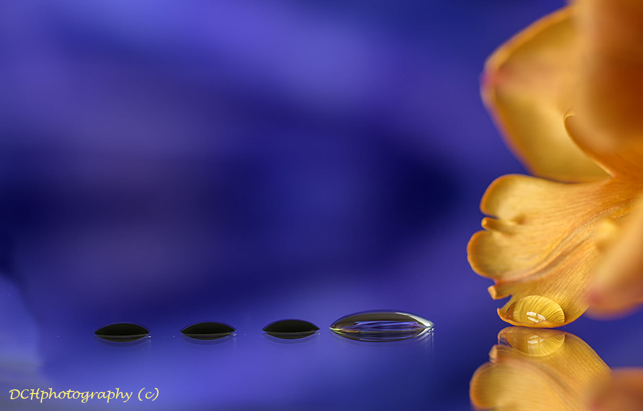 Canon EOS 650D (EOS Rebel T4i / EOS Kiss X6i) sample photo. Droplets photography