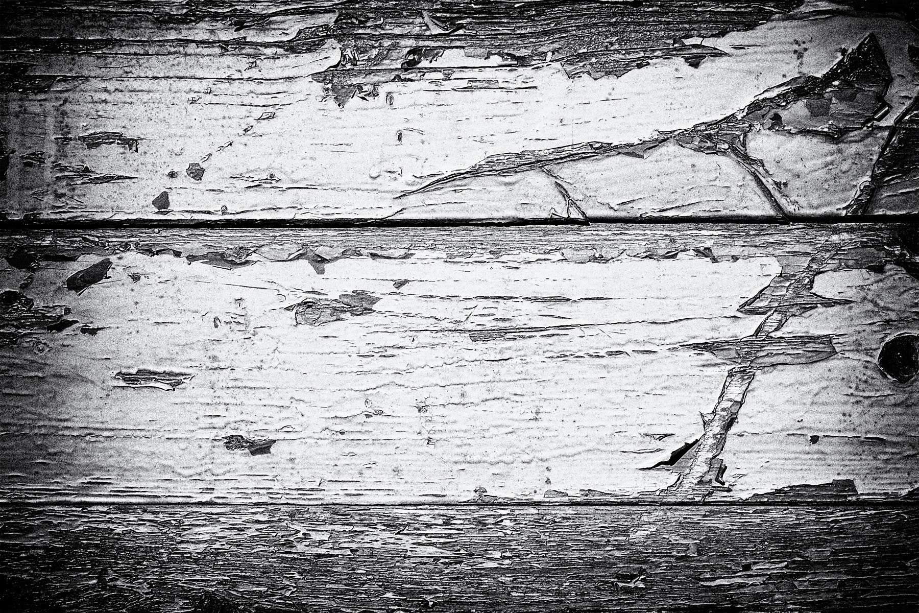Nikon D40 sample photo. Wood photography
